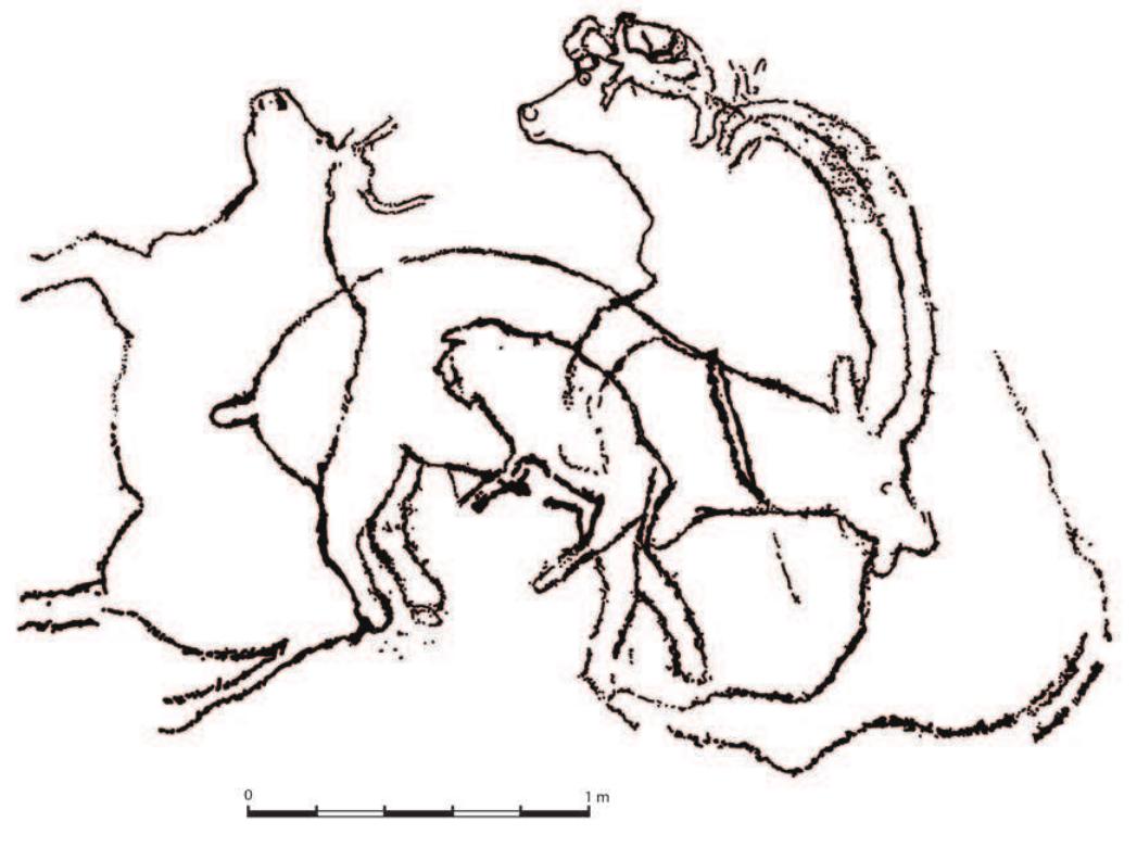 Fig. 5. — CAS-13, location 1: tracing of the ibex panel (© SCA Aswan — Adel Kelany). 
