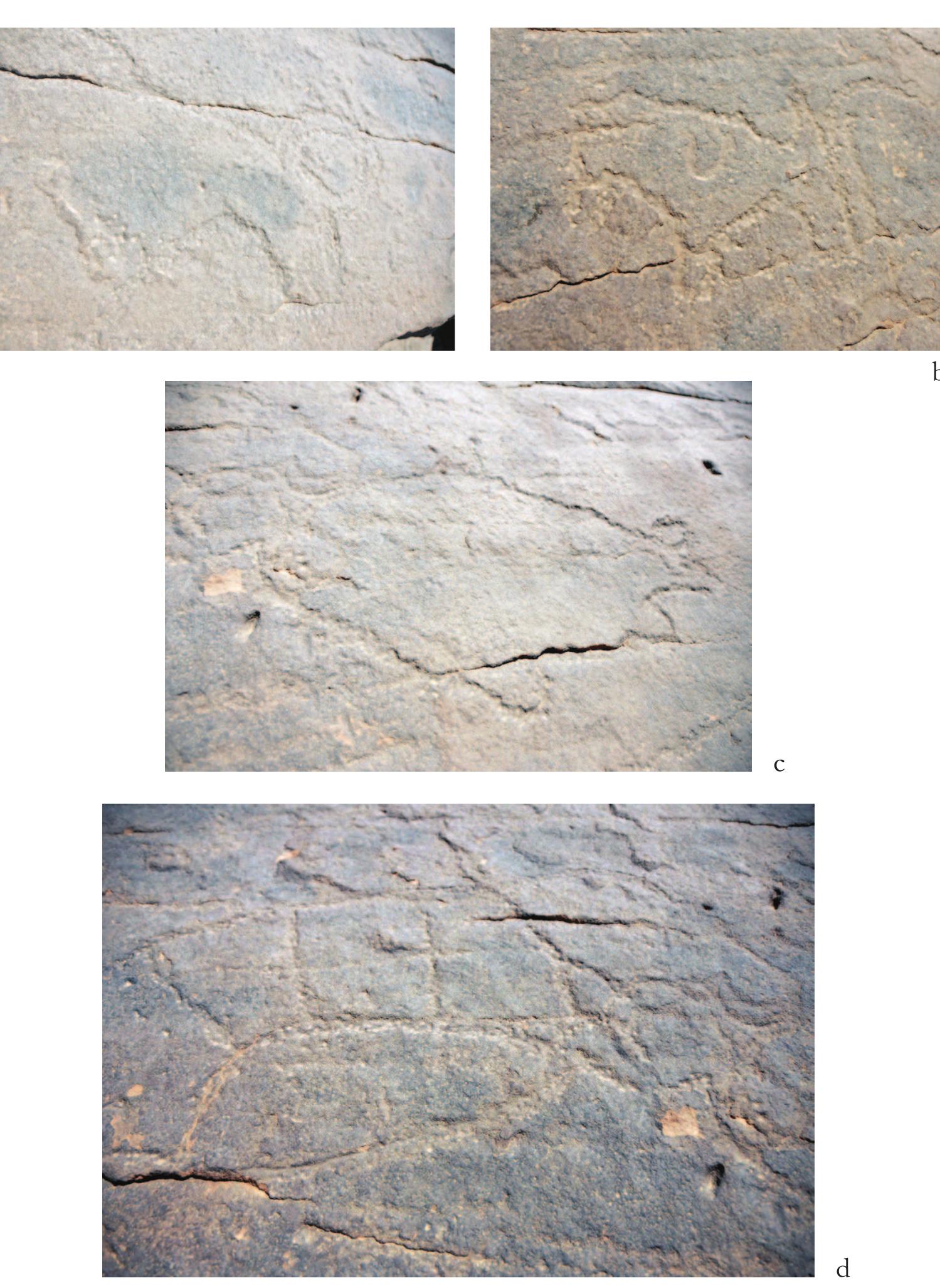 Fig. 9. — CAS-13, location 2: some details of the rock drawings: a) bovid, b) bovid, ¢) fish, d) hippopotamus with lattice pattern over the body (© SCA Aswan — Adel Kelany). 