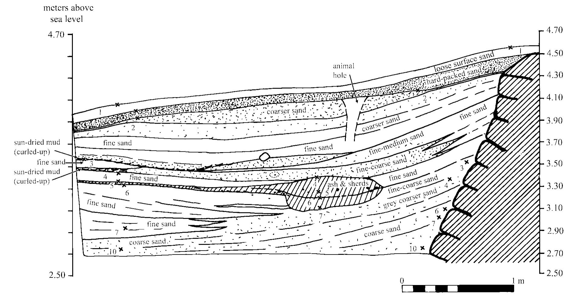 Fig. 5. South section of Unit 2 above the main floor and containing the later hearth. (Drawn by G. Mumford)