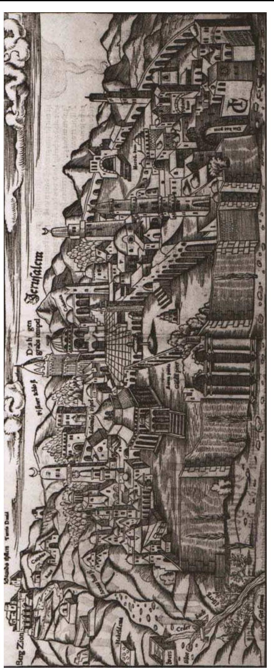 Latin Sources of 18" and 19" Centuries Proskynetaria  Fig. 7. - Monohramist CI, View of J erusalem, woodcut, National Museum, Warsaw 