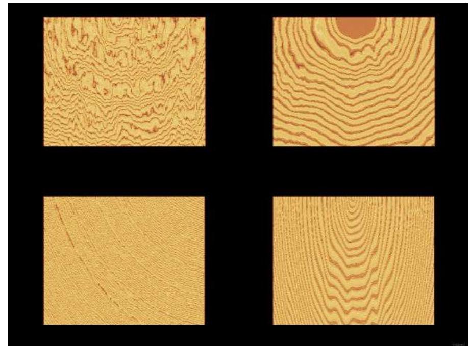 Fig. 5: Planar sections of solid noises synthesized using the sparse convolution algorithm.  Fig. 6: Sections of solid wood textures synthesized by procedura transformation of suitable homogeneous textures. 