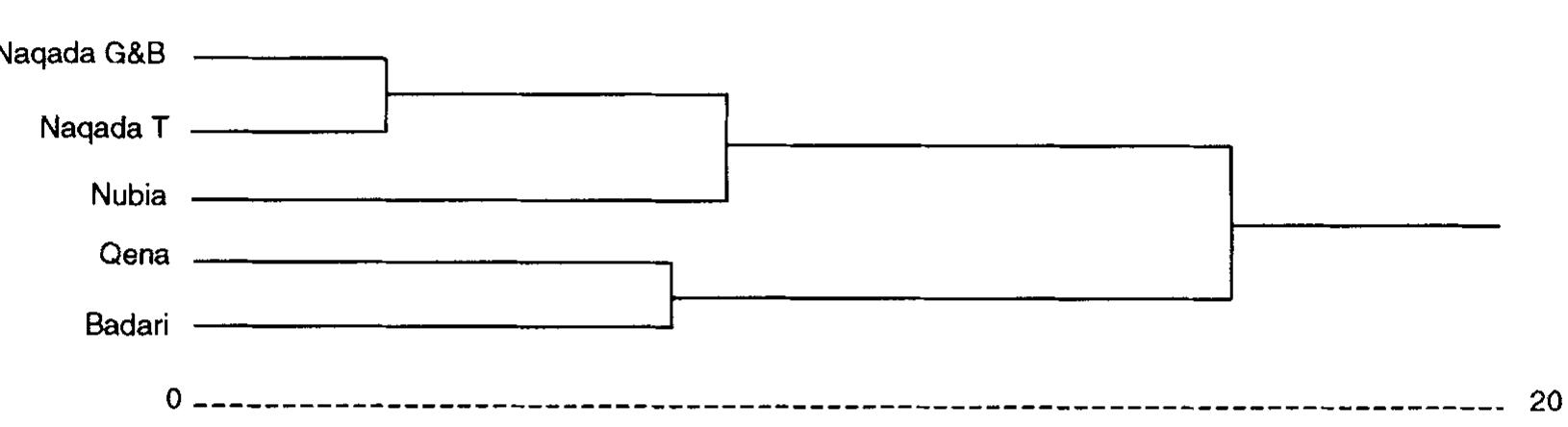 Fig. 2. Dendrogram showing the relationships of five pre- and protodynastic Nile Valley skeletal samples, based on Ward’s method (Ward, 1963). The scale represents the cumulative error sum of squares associated with successive linkages in the cluster analysis of the matrix presented in Table 3.
