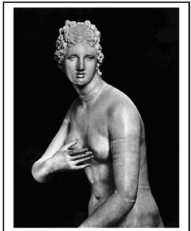 Fig. 7 Head of Medici Aphrodite. Uffizi, Florence. 