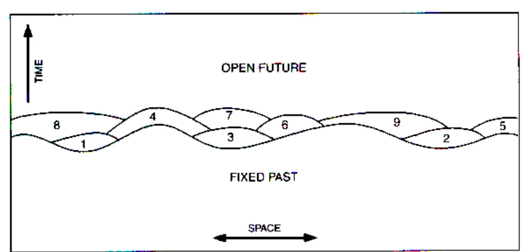 Figure 4.1. A representation of the spacetime aspects of the Whiteheadian process of cre- ation.**