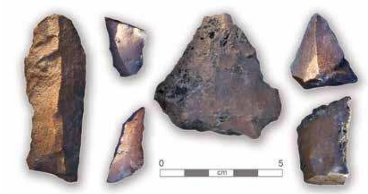 Fig. 7. Lithic artefacts from workshop located  on the natural terrace CAS-13.  Bovids (aurochs), hartebeest, hippo, fish, wild ass (?), wild dog and birds are the subject matter of the rock art at this site. Moreover, there are many unidentified lines and figures that remain to be more closely studied. The majority of the figures in CAS-6 are bovids. The lack of human figures, several of which  have been found at Qurta, is conspicuous. (Huvge & Ikram 2009: 157-174 ) 