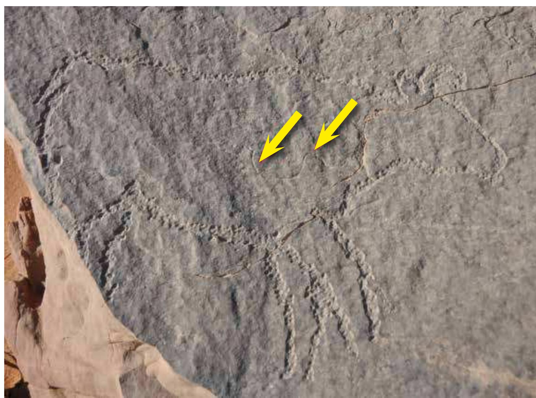 lithic workshops were found in the eastern part of Wadi Abi Subeira. That may lead us to sus- pect that Late Paleolithic rock art sites will also be found there in the course of further surveys.  Wadi (Storemyr 2012). The last 30 years have been a tragic time for Wadi Abt Subeira, with threats from the many new private mines and quarry companies that started working there, together with the extension of the village and the cultivated areas at the mouth of the Wadi. 
