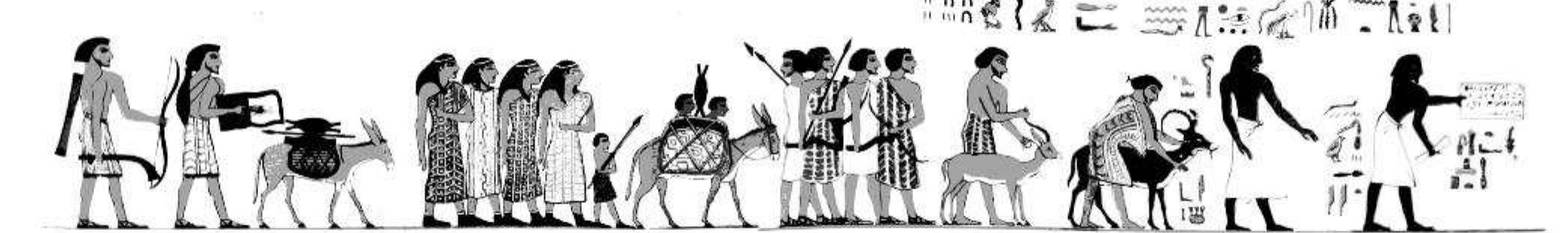 Figure 1. Photograph of the procession of Aamu from the north wall of BH 3. 