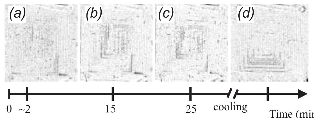 Fig. 5 Water condensation in the flow field during start-up and shutdown of a fuel cell. Light areas of the flow field indicate gas-filled channels, dark areas are liquid-filled. The cell was operated at an air/hydrogen sto- ichiometry of 3 and 1.3, respectively. The cell conditions were as follows: a) U=0.53V, 1=48A, Tce = 30°C, b) U=0.57V, 1=53A,  Teett = 43°C, c) U=0.58V, 1=54A, Teo = 48°C, and d) OCP, Teel = 26 °C.  The applicability of neutron radiography for visualizing the water condensation in a Hp-fuelled PEFC was tested only by the imaging plate technique, because of its higher spatial resolution and good dynamic range [4]. For better visualiza- tion of the processes occurring in the flow field, “referenced” images (intensity ratio images of two neutron radiography images under different operating conditions) were used. A neutron radiography image of the dry flow field was used as the reference image. Subsequently recorded neutron radi- ography images were then normalized to obtain appropriate gray-scaled images. Figures 5a to 5d show examples of such referenced images of the flow field of a PEFC. They were recorded with a spatial resolution of 500 um pixel”! and their exposure times were of the order of 20 s. Dark areas of the flow field indicate regions that are filled with liquid water (high neutron attenuation) and light areas of the flow field show gas-filled channels (low neutron attenuation). 