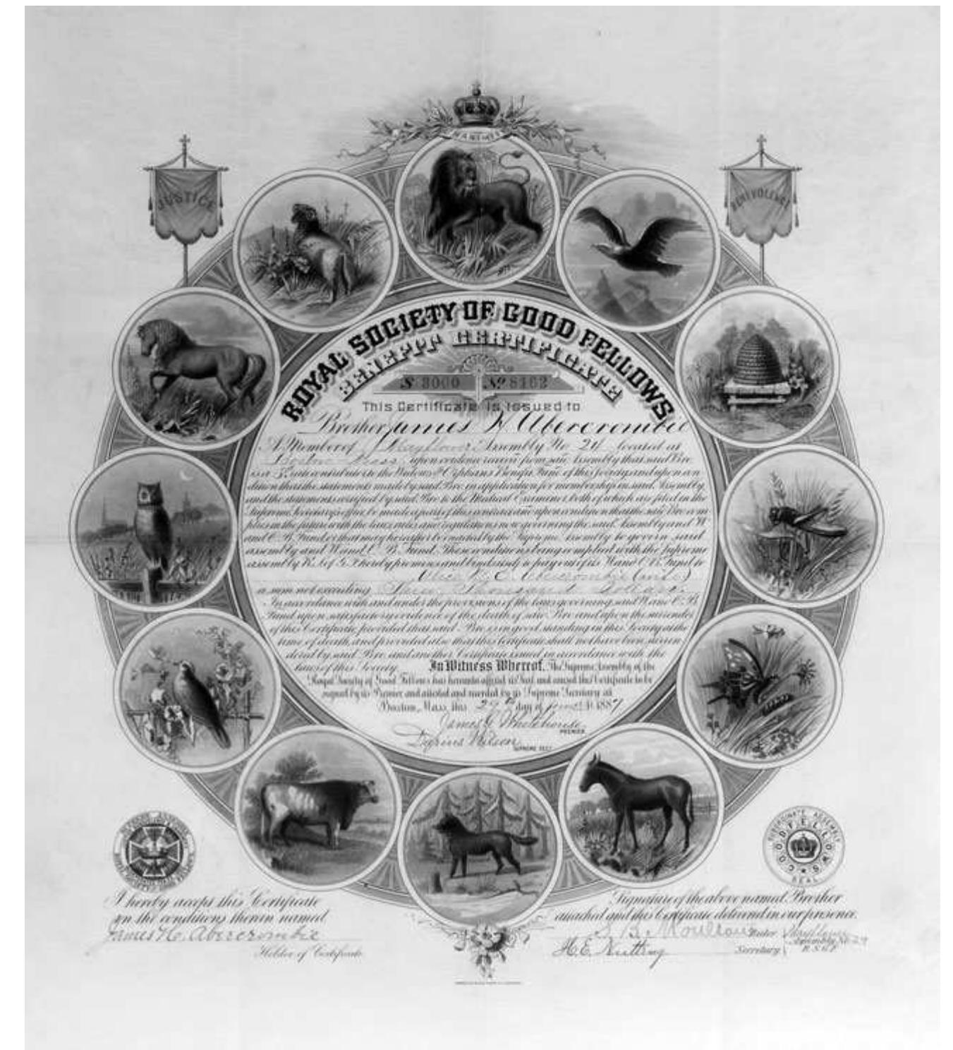 Figure 2. Royal Society of Good Fellows Benefit Certificate. Engraved by the American Bank Note Company of Boston. This certificate, dated 29 June 1887 and signed by Darius Wilson, confers financial benefits to the heir of James H. Abercrombie of Mayflower Assembly No. 24 of the Royal Society of Good Fellows contingent upon his meeting the conditions outlined in the small print at the center of the certificate. Courtesy of the Scottish Rite Masonic Museum and Library, Lexington, Massachusetts. FR 007. 