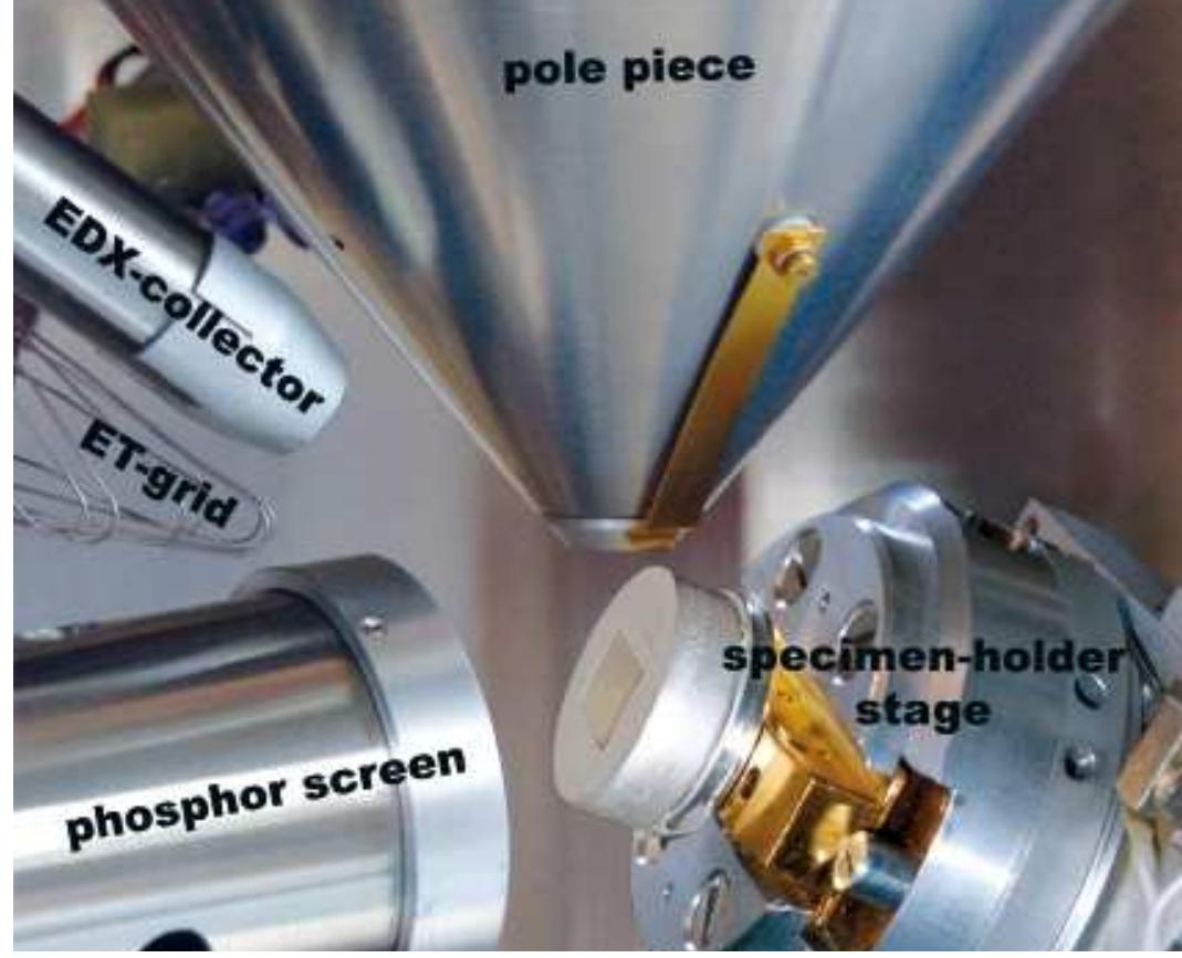 Fig. 1: Image of the SEM sample chamber with the phosphor screen for EBSD analyses inserted. 1=10 mm) of this alloy were annealed at a temperature of 1220° C for 60 seconds, sub- sequently compressed with a Gleeble 3800 testing system at a temperature of 1120° C o different strains (strain rate 0.1 s'), and immediately quenched to room tempera- ure. Transversal cross sec- ions at a quarter of the height of the specimens were cut out or the microstructural inves- igation. In order to obtain EBSD patterns with high quality, the specimens were o0lished with an alkaline col- oidal silica solution (0.04 pm The nickel base alloy 80A was used to exhibit the capa- bility of the EBSD technique for the determination of the recrystallised fraction. Cylin- drical specimens (h=12 mm,