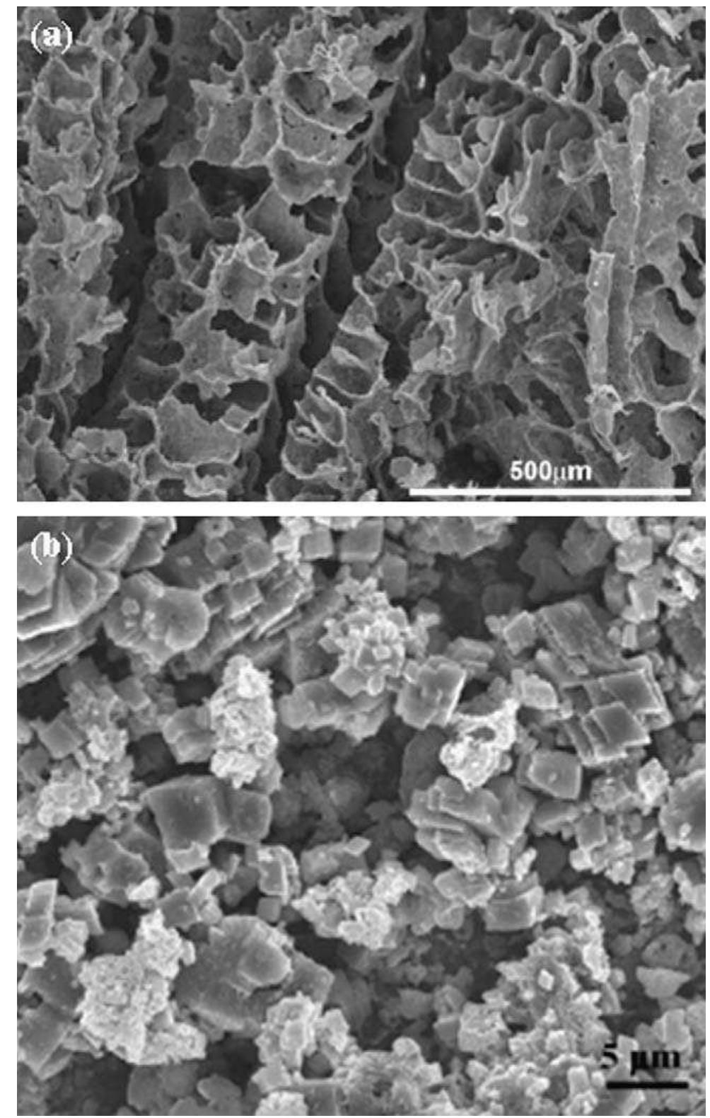 Fig. 45. Figure illustrating (a) a nanohydroxyapatite and poly (t-lactic acid) porous composite scaffold fabricated using a phase separation technique and (b) a porous calcium carbonate coating on Ti-6AI-4V obtained by electrophoresis deposition. (Reprinted from [171] and [163] with permission from Elsevier.) 