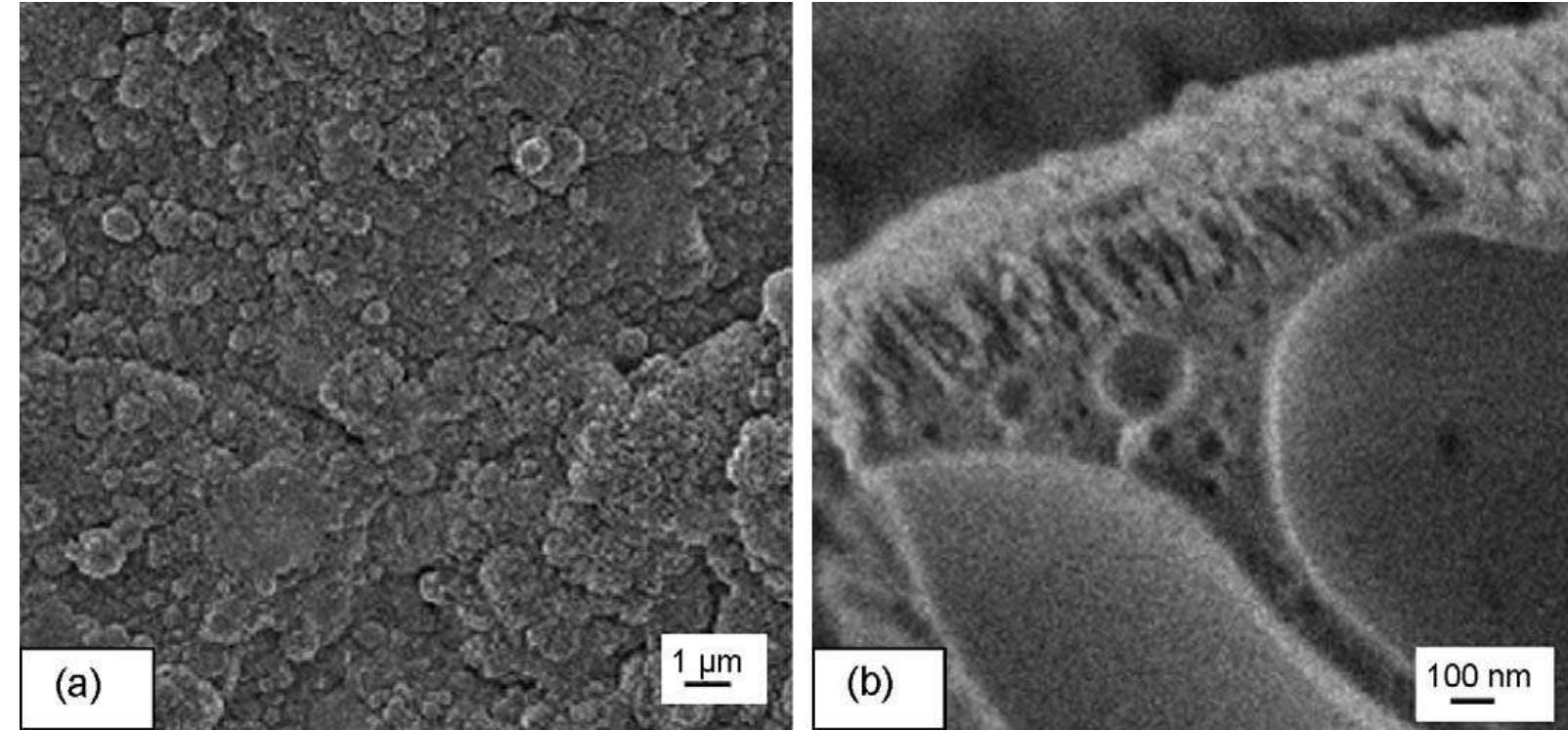 Fig. 92. SEM images showing the morphology of the films deposited by PLD on Ti substrates heated at 150 °C and subjected to post-deposition treatment at 150 °C. (Reprintec from [237] with permission from Elsevier.). 