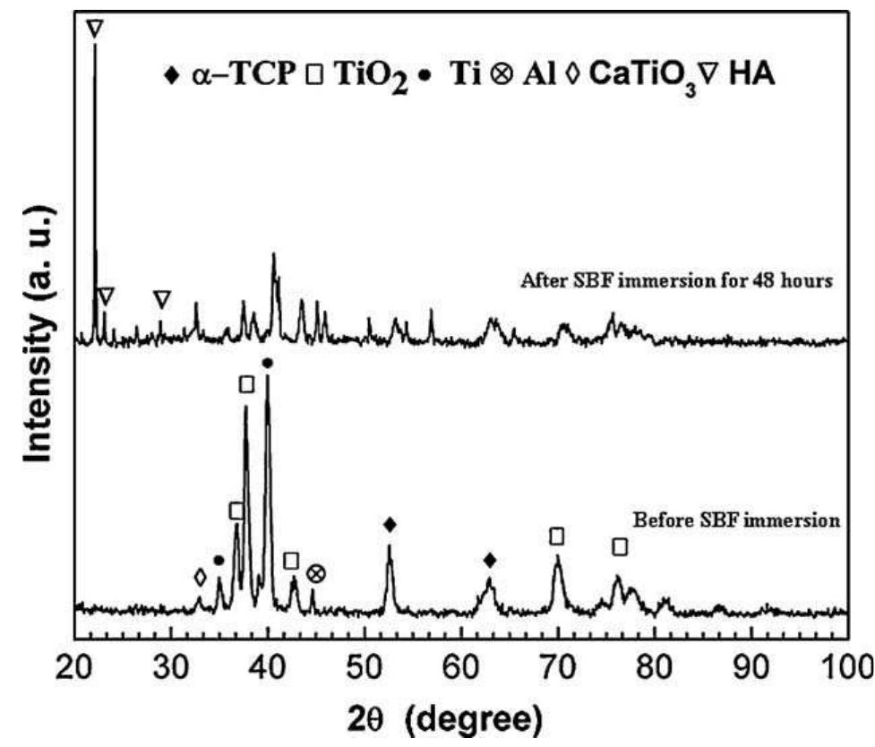 Fig. 123. X-ray diffraction patterns comparing the phases evolved before, and after immersion in SBF for 48 h.