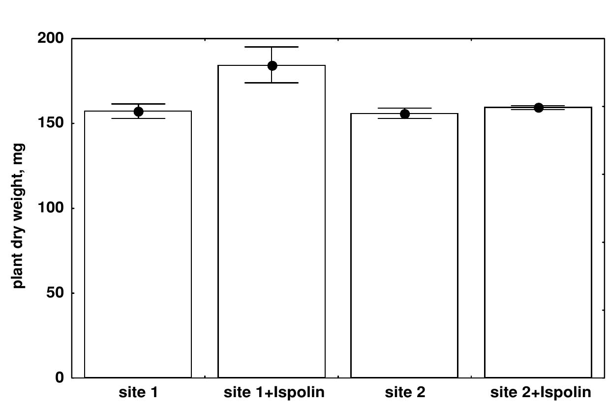 Figure 2. Effect of Ispolin on biomass of wheat grown in loam soil (site 1) and in sandy
loam soil (site 2).
