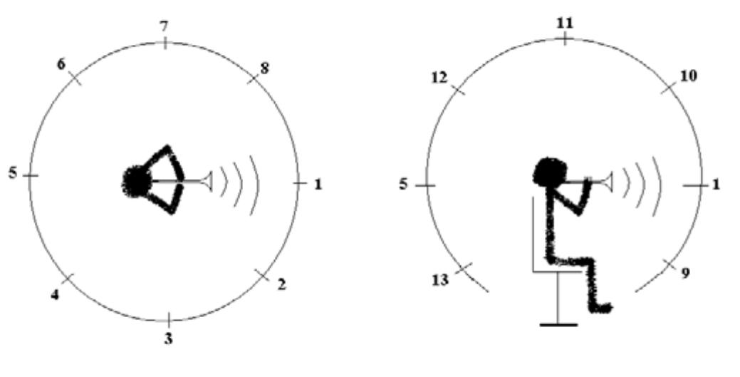 FIG. 2. Setup for the simultaneous directivity measurements with 13 microphones. The left part of the figure shows the setup in the horizontal plane and the right part shows it in the vertical plane. Microphones 1 and 5 appear in both planes.  FIG. 1.Trumpet player during the directivity measurements in the anechoic chamber. 