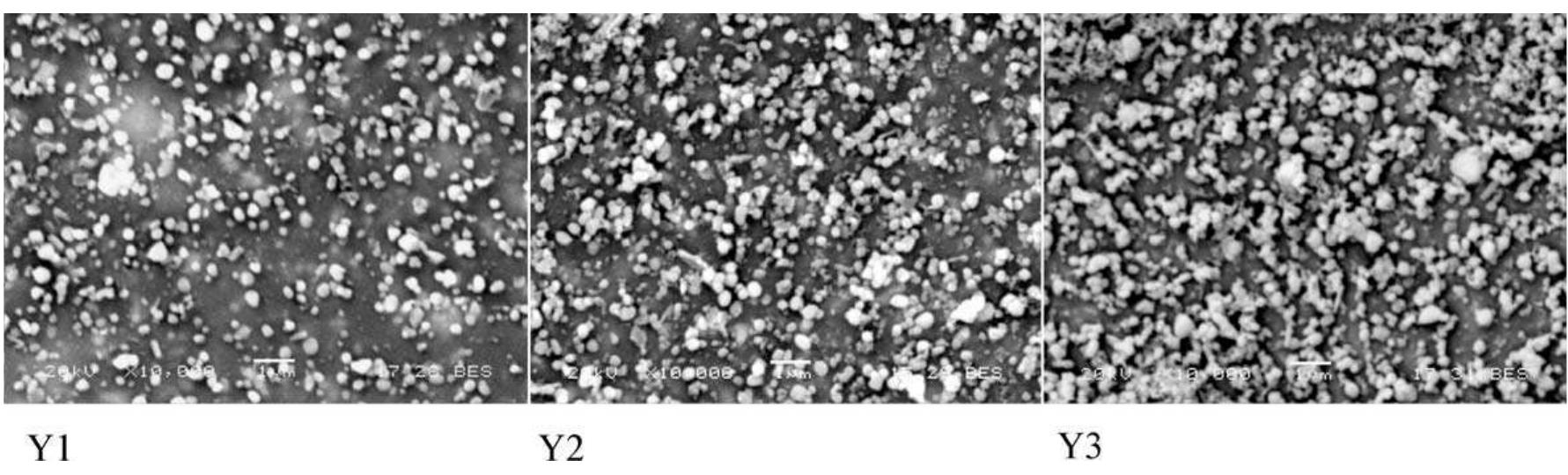 Fig. 2. SEM micrographs at 10,000x magnification of the Yl, Y2 and Y3 plasma etched samples. 