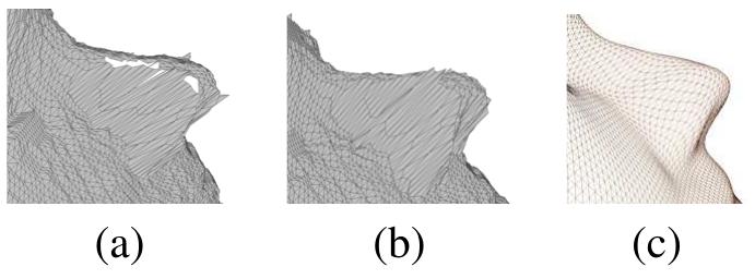 Figure 8. The reconstruction of the occluded region beside the nose that is shown in red color on Fig. 7(c).(a) Occluded region (b) Filling the occluded region (c) Fitting a surface. 