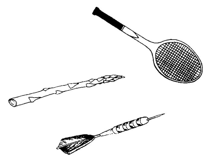 Figure 1. Examples of stimuli from the Boston Naming Test that C. K. misnamed. 