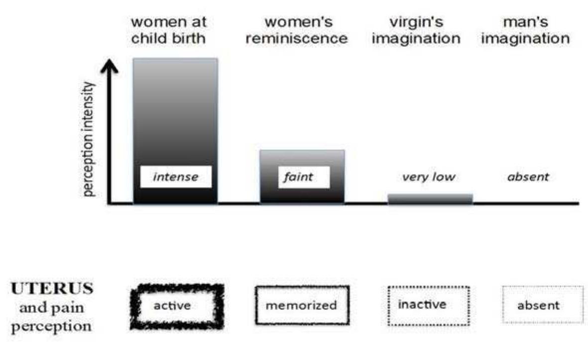 Figure 2. Pain Perception at Childbirth Compared to Imagined Pain by Others.  As differences in the content of experience certainly exist, only some general structures of experience might be considered identical in first and third persons, such as awareness contrasting with deep sleep, responsiveness to verbal or other stimuli and context-induced behavior, such as empathy. However, this view of third person consciousness is extremely limited, as it is reduced to general concepts, which no longer include the full extent of the first-person consciousness, only its main structures. 