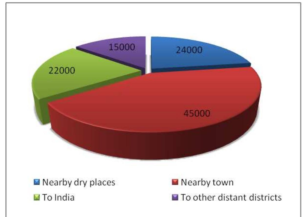Figure: Destinations of current migration, Information collected from Dcaope, Koyra and Paikgacha only.  Apart from agriculture and fisheries, floral and faunal diversity has been the least attractiv  point of news in the medias covering Aila. But they are most important considering thei  contribution in the local peoples’ livelihoods. The loss of faunal diversity is difficult  tO aSSess  However the survey team observed many numerous dead frogs, snakes and ground hog  ‘loating on water especially in Dacope, Koyra and Paikgacha. It can be assumed tha of the saline waterlogged conditions, an anoxic condition is prevailing in the affec might cause a colossal loss of the soil living organisms. This may affect the fertili  t becaus  ted area  ty of so’  when water starts to recede. The hallmark of plant diversity loss is the dying trees in th  waterlogged areas. Mostly Jackfruit, Mango and Litchi trees are dying in the areas. Man  other verities of trees are also on the verge of death in Koyra, Dacope and Paikgacha arez  Locals say at least 50 percent of the local trees in the affected areas might die in the proces:  And if, waterlogged condition stays longer, the damage might exceed 80 percent. 