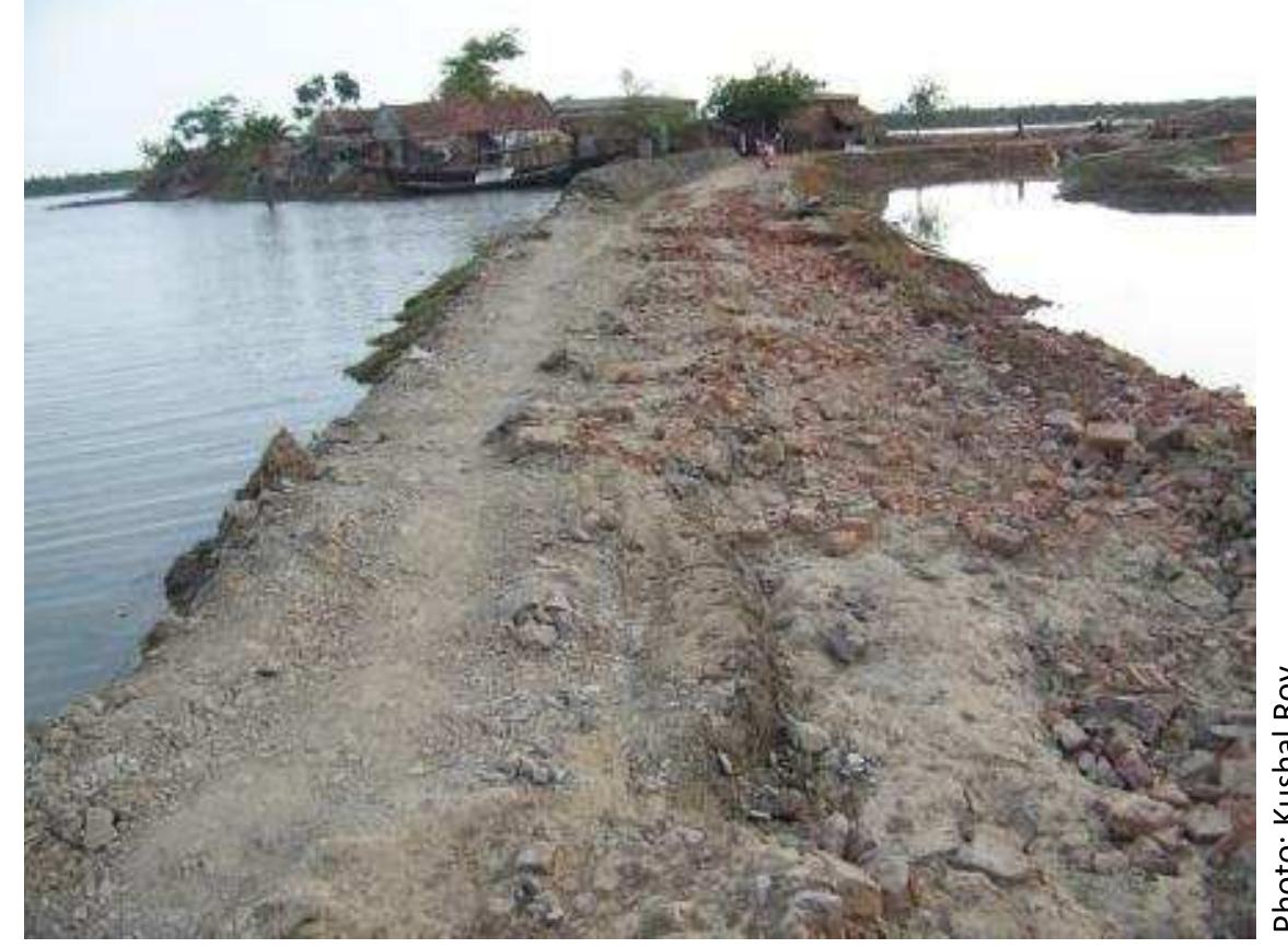 About 90,000 Sundarbans dependent people live around the coasts of Koyra and Paikgacha upazila of Khulna District. Aila hit these marginal and poor people hard in those two areas. In Koyra 2 unions are worst affected: Uttar Bedkashi and Dakshin Bedkashi. About 40,000 forest people use to live in these areas along with 450 families of munda (ethnic communities) communities. Locals report about 50 percent of these people are bawalies, 30 percent work as fishermen inside the Sundarbans (locally known as jele) and rest are mawalies (honey  collectors), chunaries (snail collectors) and others. Except few most of these affected forest  tanannln Rar honpnmoa hnamolace andy 