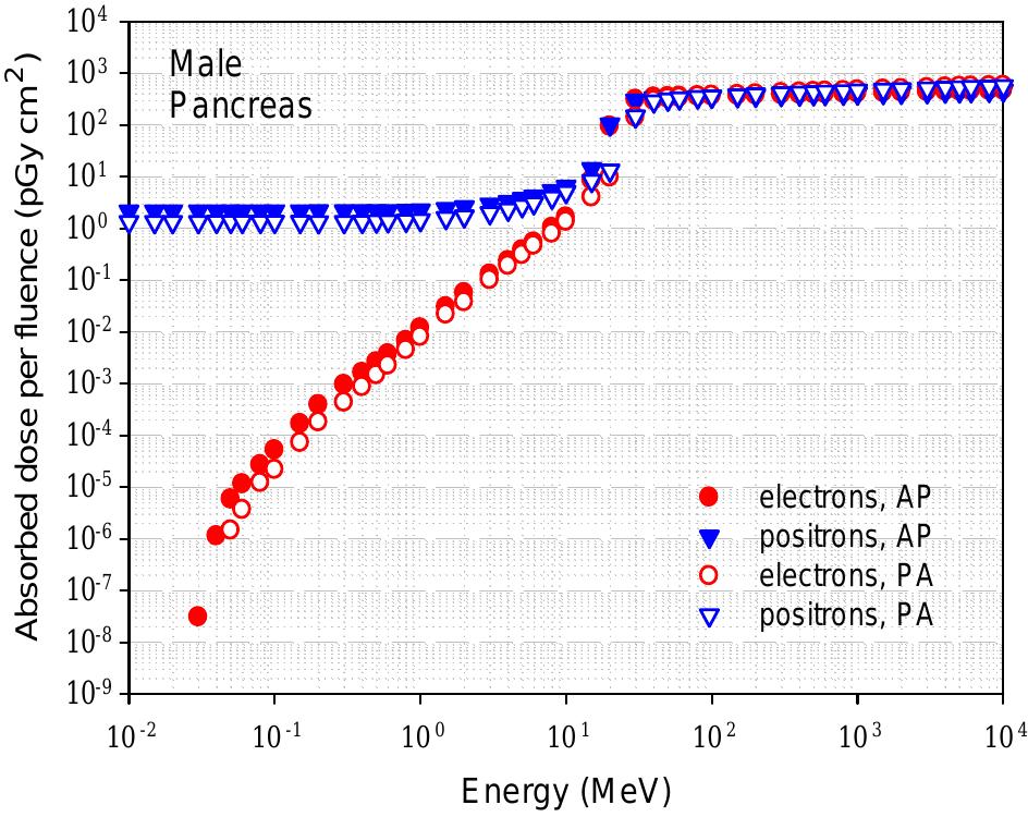 Conversion Coefficients for Radiological Protection Quantities for External Radiation Exposures  emitted through the bremsstrahlung processes in which both the photon yield and mean photon energy increase with increasing electron energy. This leads to very low dose conversion coefficients on the order of 10~° pGy cm? or less at 10 keV. Above 10 keV, the dose conversion coefficients increase as an almost quadratic func- tion of the incident electron energy. Low-energy positrons annihilate within the skin and two annihilation photons of 511 keV are created which are able to reach deeper organs. The absorbed dose to the deeper organs due to the annihilation photons is much higher than that due to the bremsstrahlung photons generated for external electrons. Consequently, for many organs and for positron energies between 10 keV and ~1 MeV, the organ dose conversion coefficients for positrons are rather constant. 