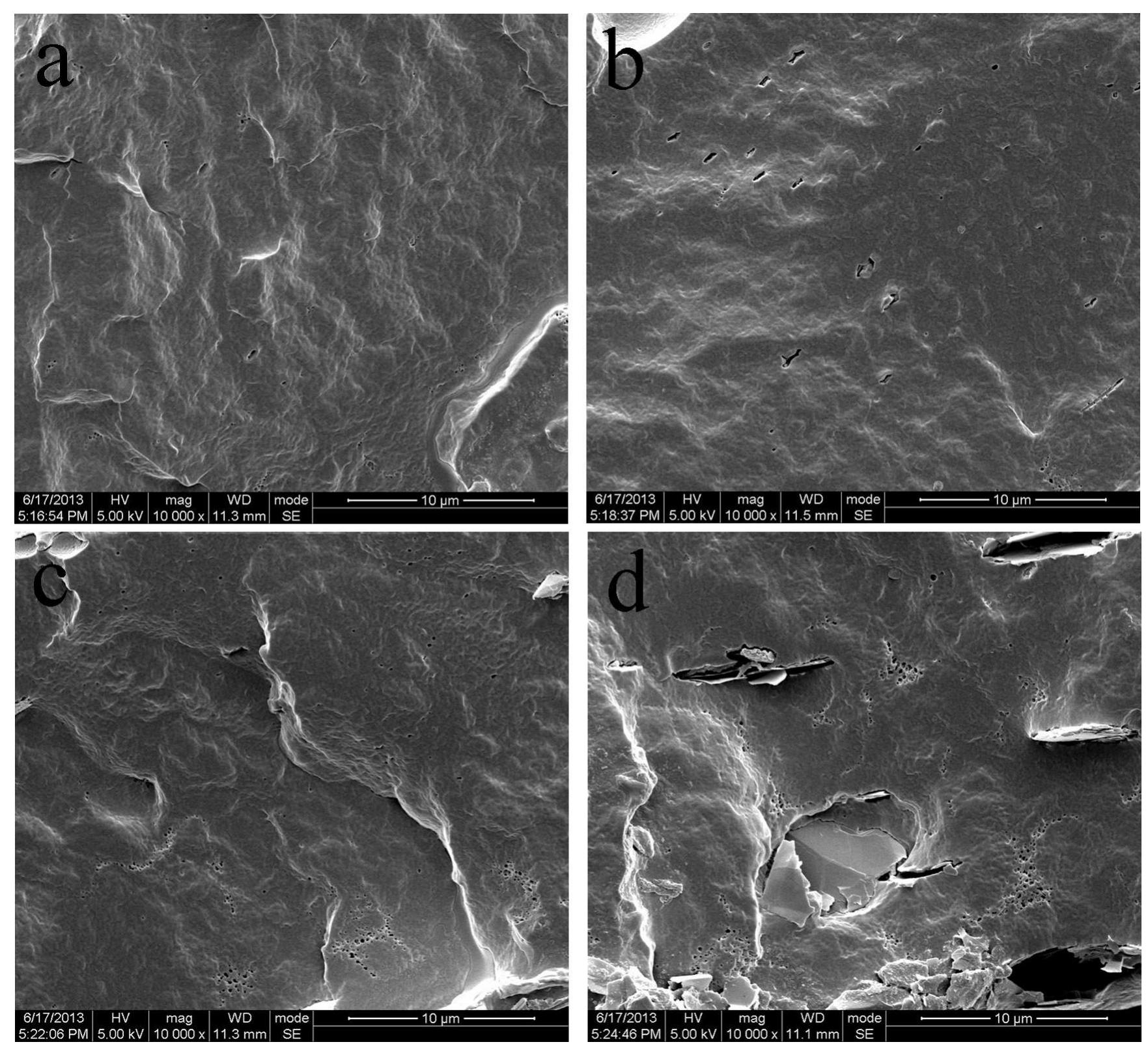 Fig. 3. SEM micrographs of the fracture morphology of: (a) PLLA-PTMC, (b) PLLA-PTMC/Talc-1, (c) PLLA-PTMC/Talc-2, and (d) PLLA-PTMC/Talc-3 (magnification: 10,000 x) 