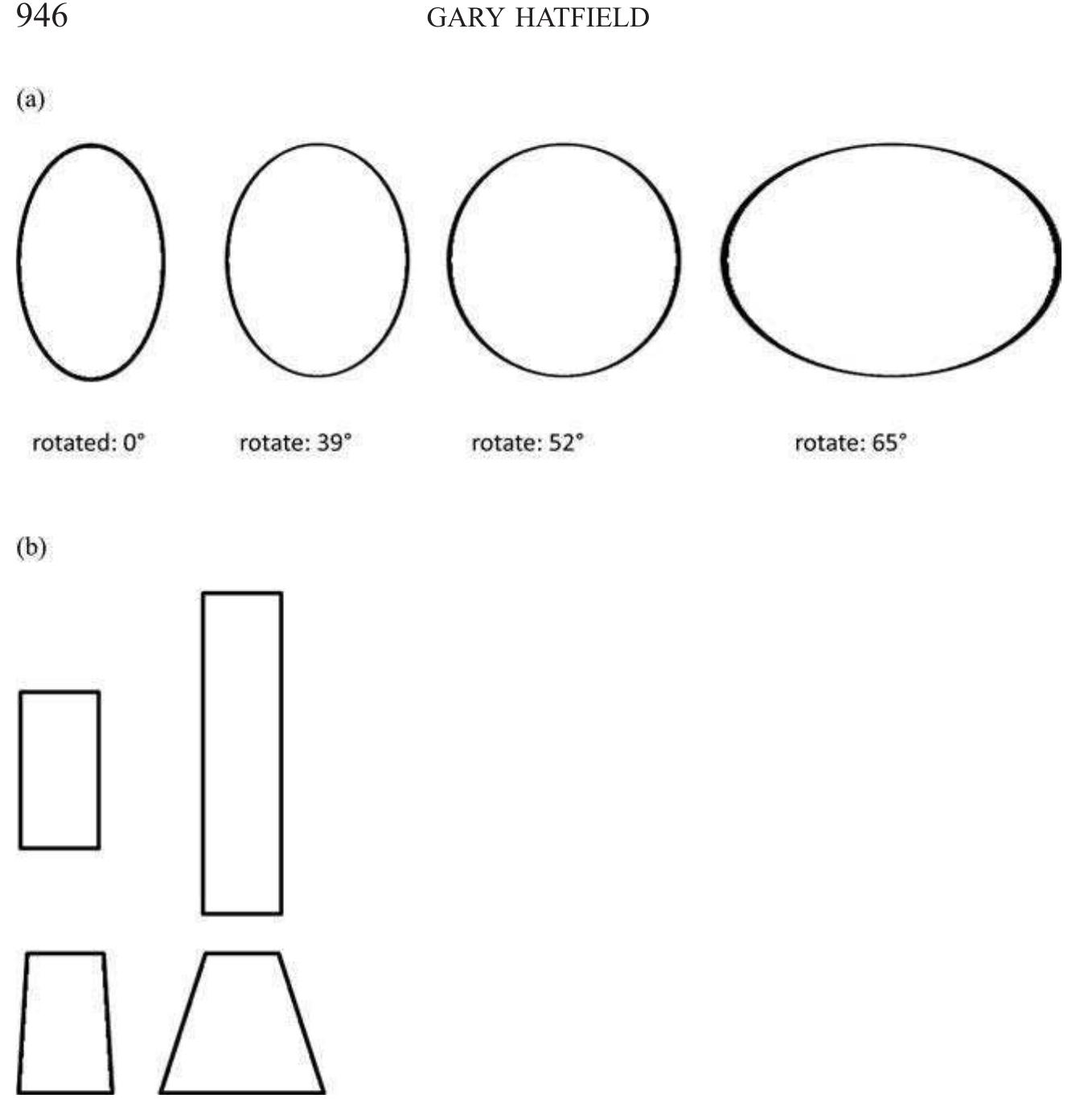 Figure 2. Shapes in (a) are a set of ellipses that are projectively equivalent when the longer ones are increasingly rotated (by a specified amount). Shapes in (5), if assumed to be rectangles, illustrate the fact that a unique shape is associated with the slant of a rectangle away from the frontal plane. If the figure is not known to be a rectangle, then the projective shape is consistent with a variety of trapezoids. 