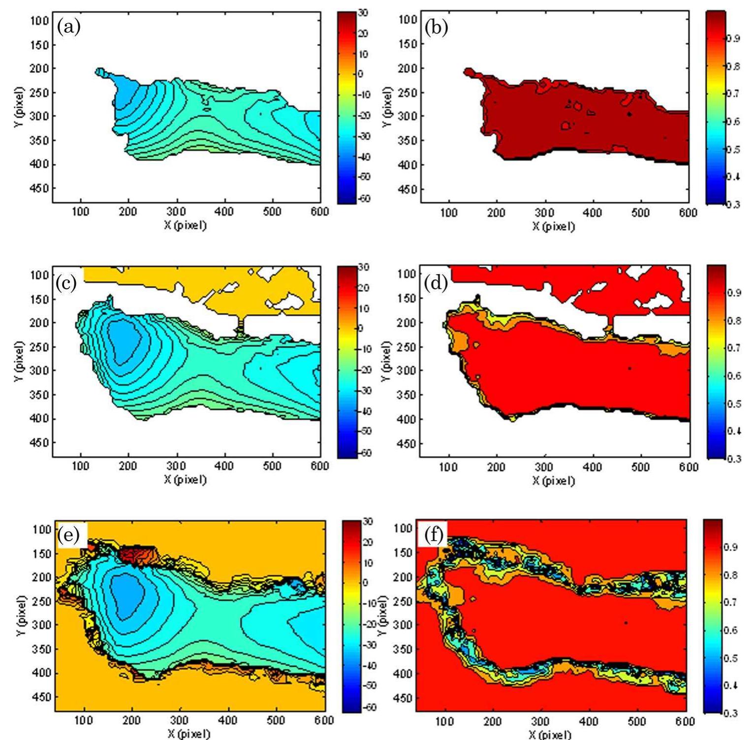 ‘ig. 7. (Color online) Intermediate stages of the computed v displacement (left) and ZNCC coefficient (right) distributions using the RGDIC method. It is clear that serious decorrelation effect exist at the boundary if the hand.  In contrast with the ZNCC coefficient distribution given in Fig. 7(f), it is evident that the computed dis- placements of points with low correlation coefficient are also unreliable. Thus, according to the ZNCC coefficient distribution, we can select a threshold of ZNCC coefficient (i.e., 0.8) to remove the unreli- ably computed points. Based on the calibrated displacement-to-height relation [7] and the v dis- placement components, the profile of the human hand can be reconstructed as shown in Fig. 8. Fig- ure 8(a) shows the contour plot of the measured hand profile superimposed on the image of the hand. Fig- ure 8(b) gives a 3D plot of the hand profile, which pro- vides a more intuitive look. The reconstructed profile clearly shows the flexibility and robustness of the proposed RGDIC method.   Cire ens ne a ee Ao  Figure 7 shows the two intermediate stages, and the final results of the computed v displacement field (the computed wu displacement is quite small and not given in the following) and ZNCC coefficient distribu- tion. Although serious decorrelation effect exists in the boundary of the hand due to steep height change and shadows, the whole v displacement field is also reliably and accurately determined as shown in 