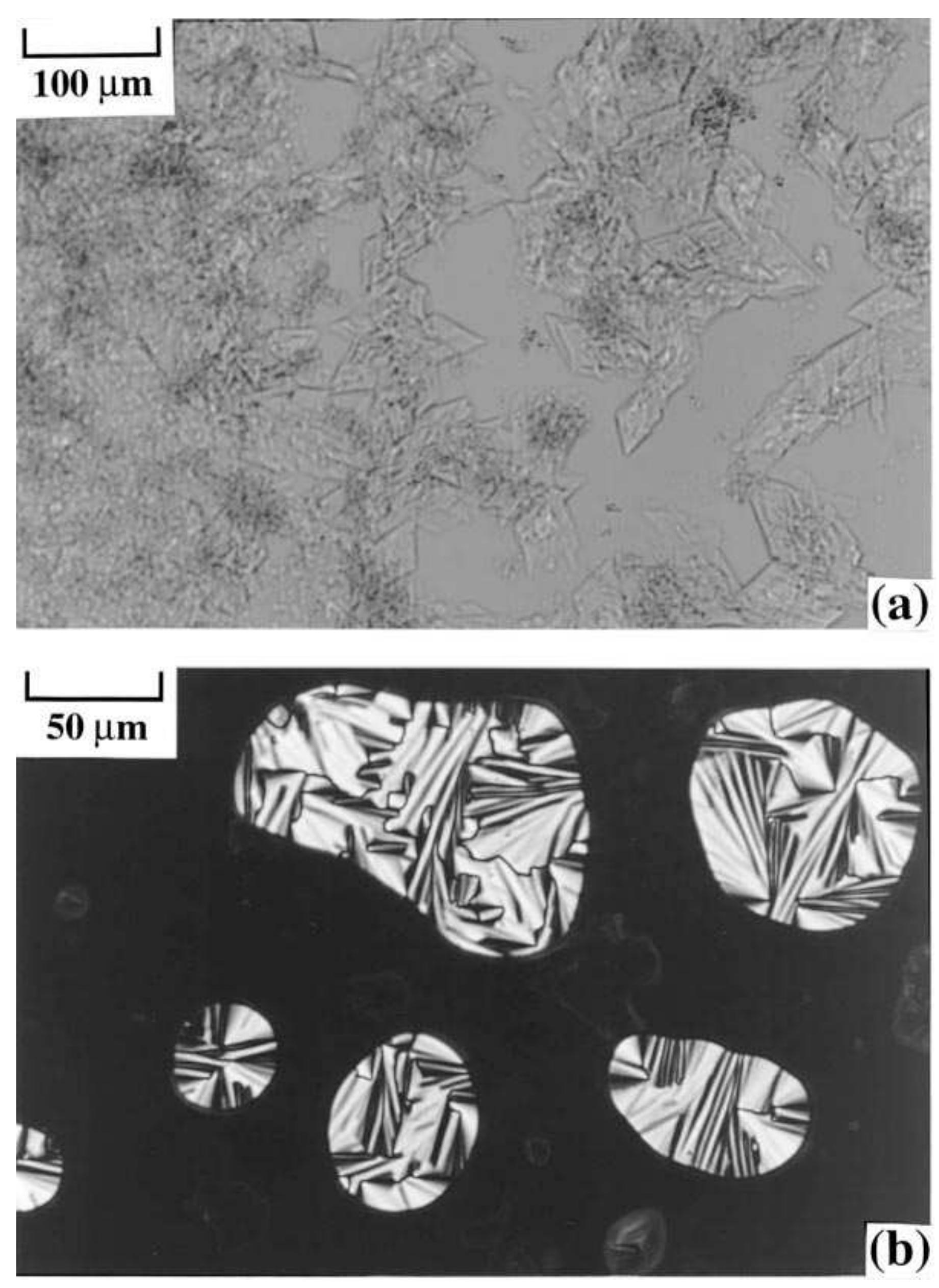 Figure 7. Birefringence images of sodium octadecylphosphonate at (a) room temperature and (b) at 160 °C. 