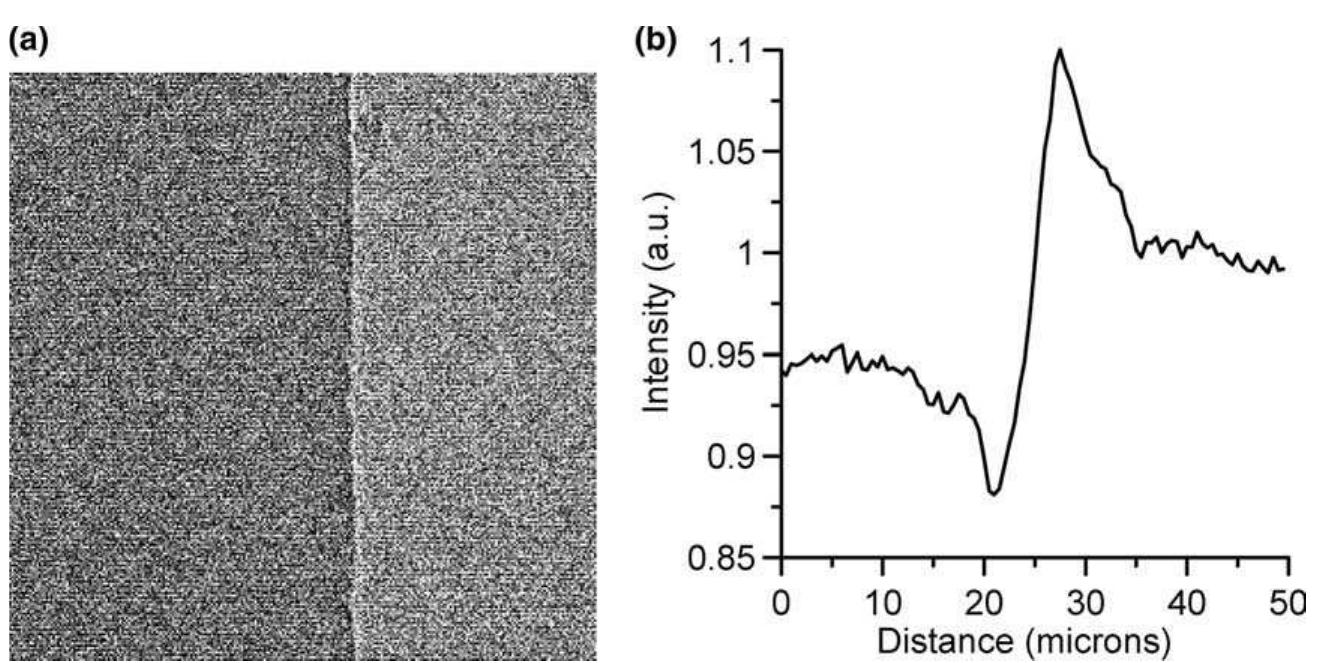 Fig. 5. (a) Experimental in-line X-ray image of an edge of a Polyethylene sheet; (b) cross-section of image intensity through the edge o: the sheet. 