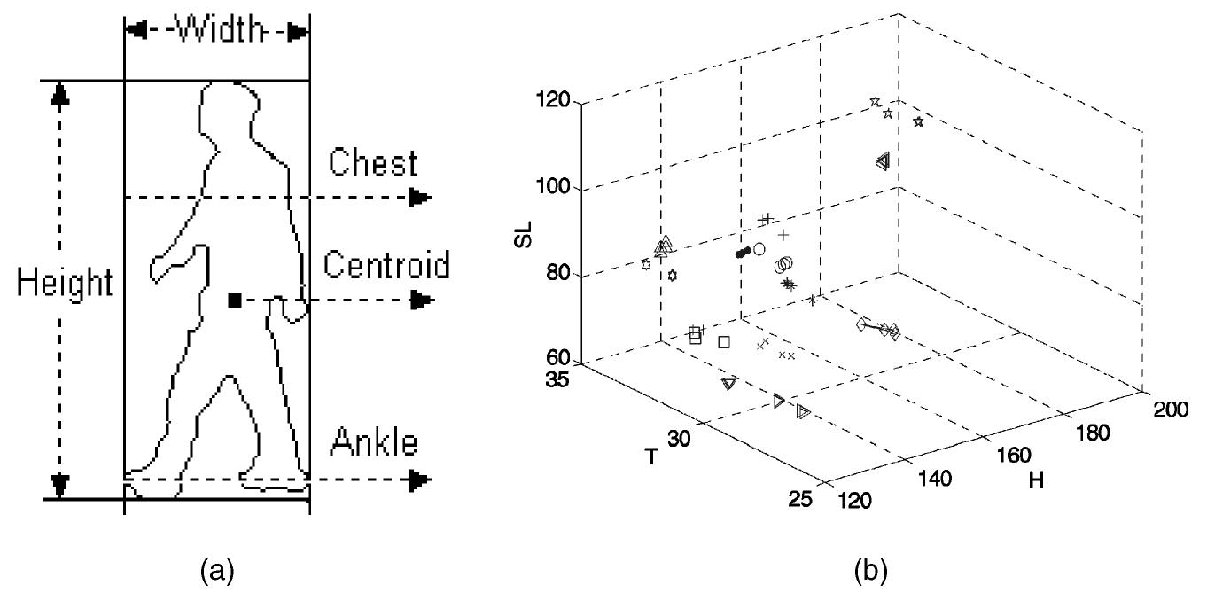Fig. 10. Extraction of additional features: (a) illustration of human silhouette and (b) a distribution of physical features in 3D space (note that SL and H are measured by pixel distance). 