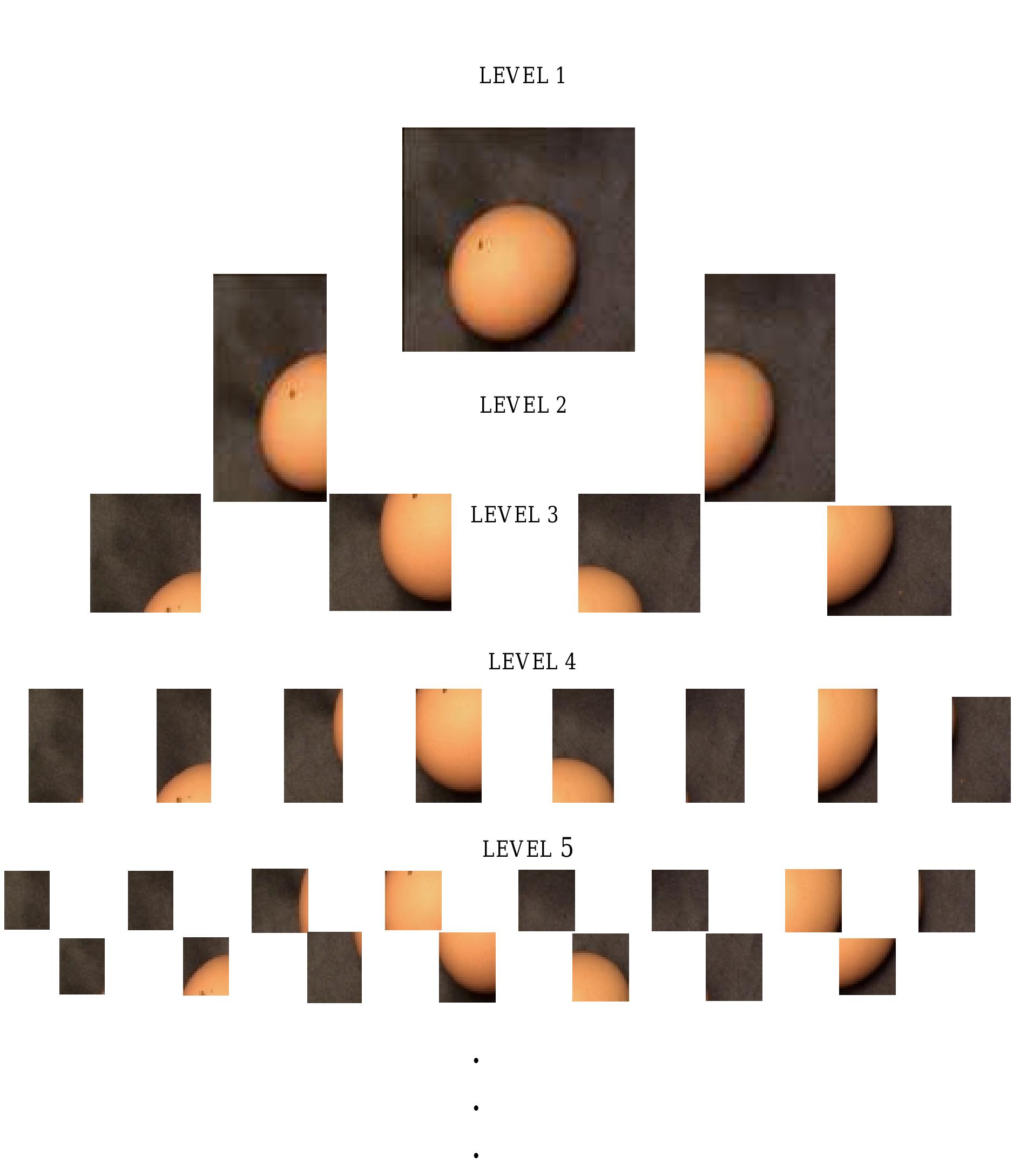 Figure 3: Image decomposition process
 Angela Ribeiro, Maria C. Garcia-Alegre, Domingo Guinea, and Gabriel Cristobal
