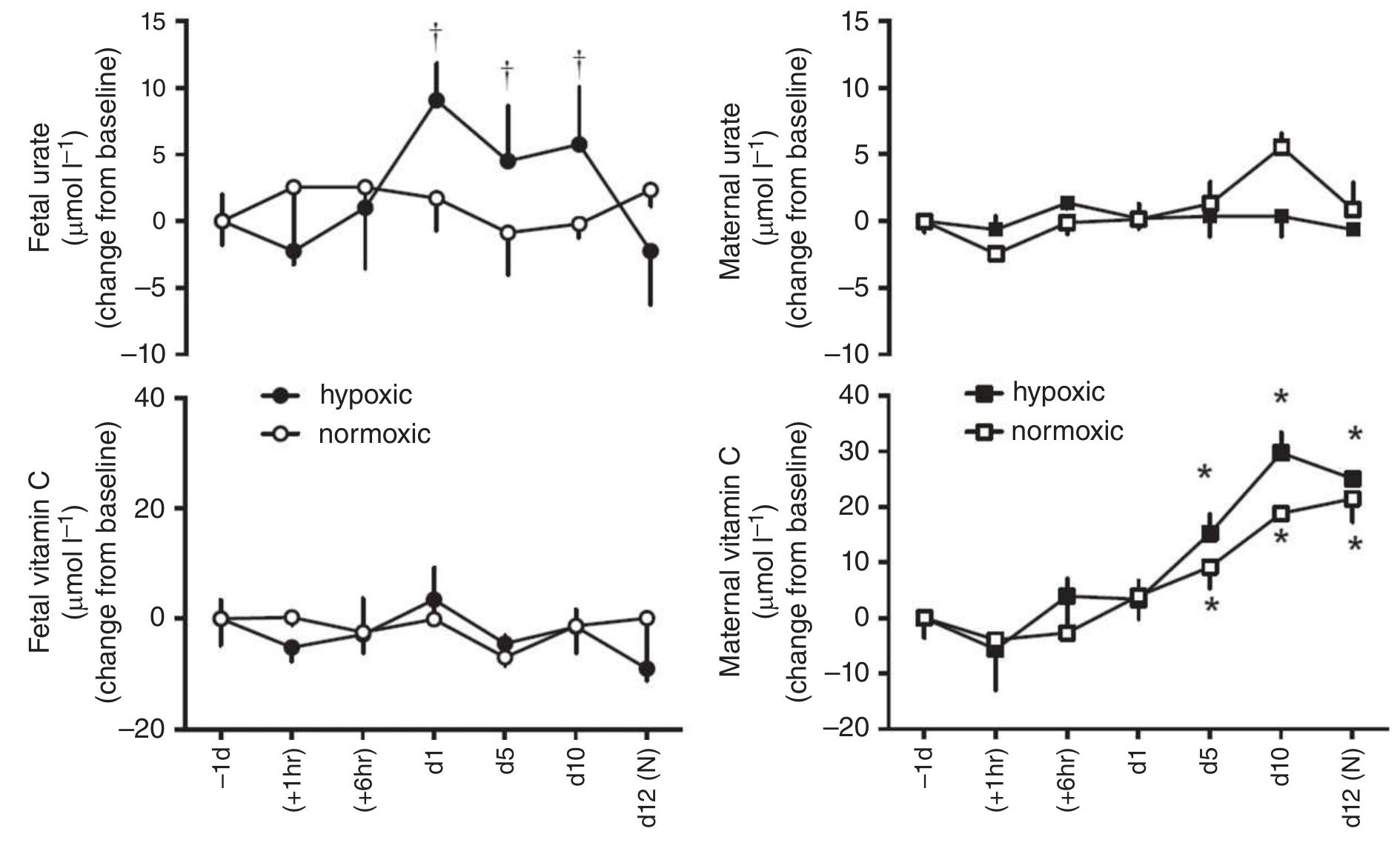 Figure 6. Fetal and maternal vitamin C and urate levels in the chronically hypoxic fetus  Values are mean + SEM for the change from baseline in vitamin C and urate in pregnant ewes and fetal sheep undergoing normoxic (©, fetus; 1, ewe; n = 6) or chronic hypoxic (@, fetus; Ml, ewe; n = 6) pregnancy. (N), normoxic recovery. The x-axis shows time in hours (hr) and days (d). Significant differences (P < 0.05): *differences indicating a significant main effect of time compared with baseline; ‘differences indicating a significant main effect of treatment compared with normoxic pregnancy (two-way repeated-measures ANOVA + Tukey test). For the fetal urate levels the two-way ANOVA represents an analysis of the area under the curve.  findings are in keeping with a sympathetic dominant influence on cardiovascular control in the chronically hypoxic fetus (Kitanaka et al. 1989; Edwards et al. 1999). That blood flow to the fetal cerebral vascular bed increases in a sustained manner in response to chronic hypoxia has been established for many years (Richardson et al. 1993; Richardson & Bocking, 1998). In contrast, it has been generally assumed but widely accepted that blood flow to the peripheral circulations is decreased in the chronically hypoxic fetus and that this sustained redistribution of blood flow away from the periphery contributes to the repeatedly reported asymmetric growth restriction in the chronically hypoxic fetus (see Barker, 1996; Giussani, 2016). Two studies support lower basal values for femoral (Poudel et al. 2015) and carcass (Kamitomo et al. 1993) blood flow in the chronically hypoxic fetus, with single time point measurements with microspheres or acute recordings of femoral blood flow for 2 h. In this paper, we report that continuous longitudinal measurement of fetal femoral blood flow reveals a sustained increase during chronic hypoxia, akin to the peripheral dilatator response to hypoxia in the adult individual or to the enhanced basal femoral blood flow in adult offspring of chronically hypo- xic pregnancy (Coney & Marshall, 2010). However, when   Several studies have reported ontogenic increases in fetal arterial blood pressure and fetal peripheral blood flow and decreases in fetal heart rate with advancing gestation in several species (Reeves et al. 1972; Boddy et al. 1974; Dawes et al. 1980; MacDonald et al. 1983; Kitanaka et al. 1989; Forhead et al. 2000; Giussani et al. 2005). The present data are the first to report ontogenic increases in carotid blood flow with advancing gestation in control fetal sheep. One previous study reported lower mean values for fetal arterial blood pressure in chronically hypoxic fetuses of placentally restricted pregnancies (Edwards et al. 1999). However, others using the same placentally restricted model or in hypoxic fetuses from ovine pregnancies exposed to mild chronic hypoxia have reported similar fetal blood pressure between control and experimental animals (Kitanaka et al. 1989; Danielson et al. 2005; Pulgar et al. 2006, 2007, 2009; Poudel et al. 2015). By comparison, elevated basal values and alterations in the developmental decline of fetal heart rate with advancing gestation have been more consistently reported for the chronically hypoxic sheep fetus (Kitanaka et al. 1989; Pulgar et al. 2006). These  
