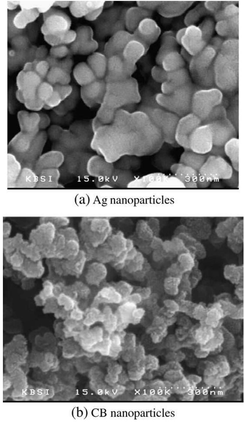 Fig. 1. SEM images of the tested nanoparticles.