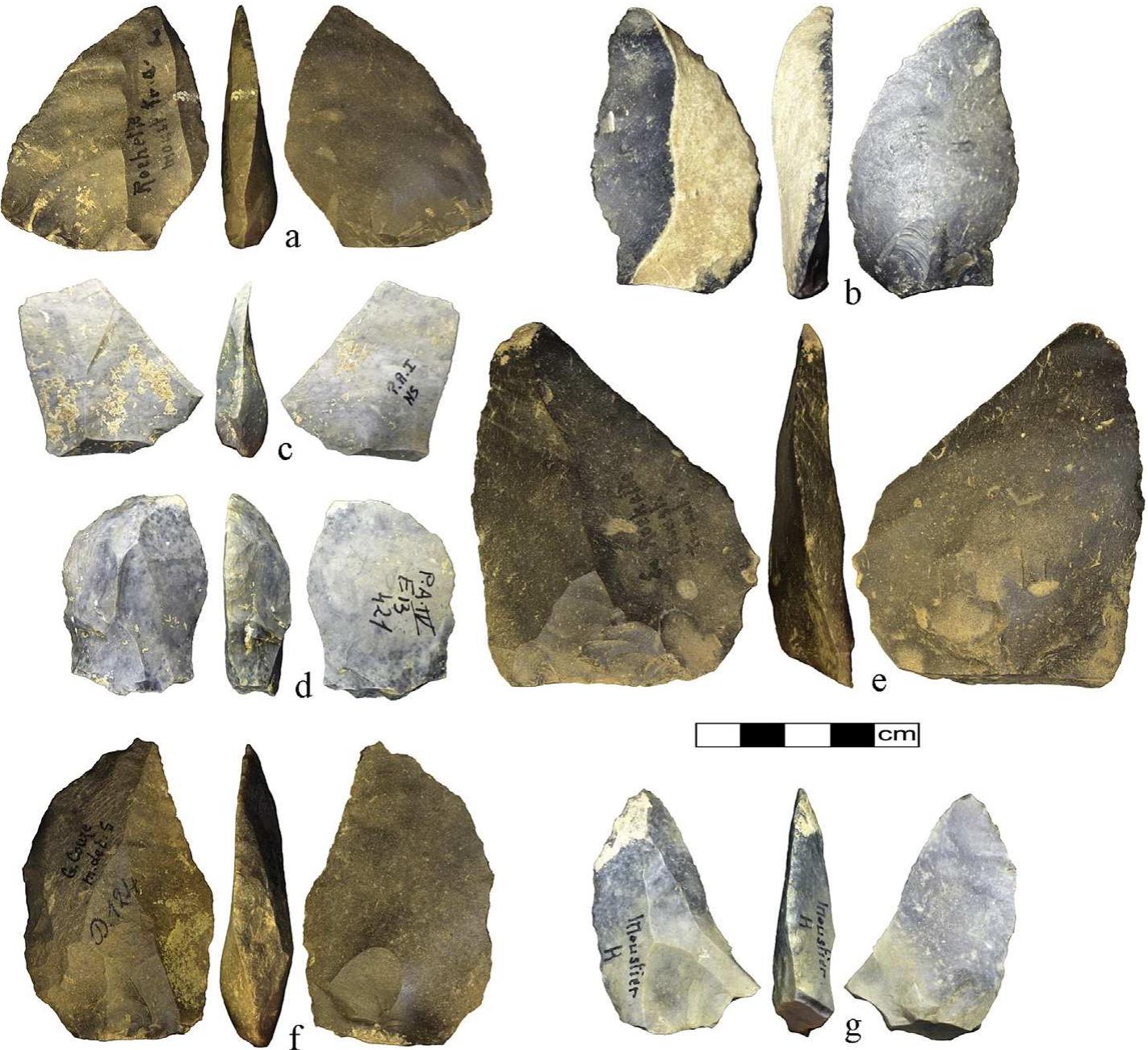 Figure 7. Late Mousterian backed knives on non-laminar blanks: a, e: La Rochette; b, g: Le Moustier; c: Pech de I'Azé I; d: Pech de I'Azé IV; f: Gare de Couze 