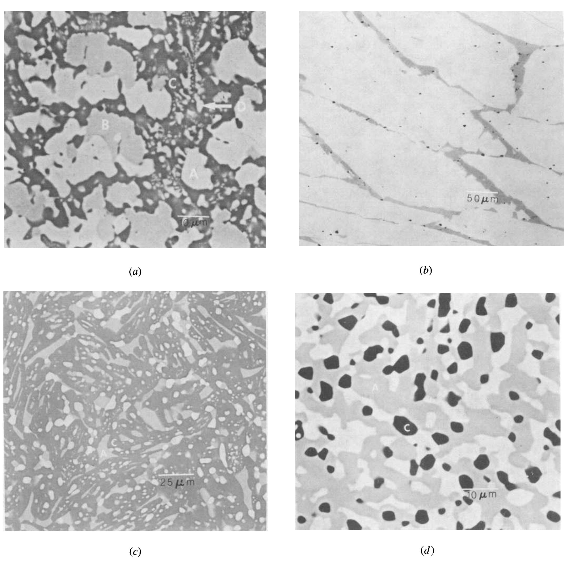 Fig. 2— Micrographs of Al-Ni-Ti alloys annealed at 1173 K. (a) Alloy 19, (b) alloy 17, (c) alloy 1, and (d) alloy 14. Magnification of (a) and (d) 1060 times, (b) 212 times, and (c) 424 times. 