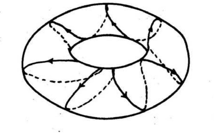 Fig. 6. In a 2-D system with only one independent frequency, the corresponding trajectories are periodic  is not satisfied for any set of the integers m1, mz2,...,7™n, then the helix is open and covers densely (and, hence, ergodically, see Sect. 4.1) the surface of the (n-dimensional) torus. If only one frequency is independent (i.e. if n — 1 resonance relations are satisfied), the trajectory is closed and, thus, periodic (Fig. 6). In between lie all other cases, in which the number of independent frequencies is between 1 and n and the trajectory covers densely a submanifold of the n-torus. The motion in these intermediate cases is said to be conditionally periodic or quasi-periodic. 