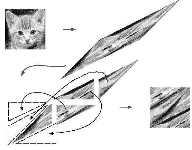 Fig. 13. Graphical representation of the Arnold’s cat map  Anosov-systems (or C-systems) are abstract dynamical systems, which are assumed to be as chaotic as a Hamiltonian dynamical system can be. Loosely speaking we can say that an Anosov system has a phase space characterized by two directions: one where the trajectories diverge exponentially and one where the trajectories converge exponentially. Thus the region around anq point of phase space has a topological structure similar to that around a hy- perbolic fixed point, where chaotic motion develops in Hamiltonian systems. n other words, in a C-system all periodic trajectories are unstable. This is a very strong condition, which “ordinary” Hamiltonian systems never satisfy. since in all real systems studied up to now arbitrarily close to any hyperbolic point there are always elliptic (stable) fixed points. It has been shown that Anosov-systems are an open set in the superset of all dynamical systems and, therefore, they are structurally stable, i.e. a perturbed Anosov-system remains an Anosovy-system. An example of a simple dynamical system belonging to the class of Anosov-systems is the following area preserving mapping, knowr as Arnold’s cat map (from the figure Arnold used to depict its action, see Fig. 13):  