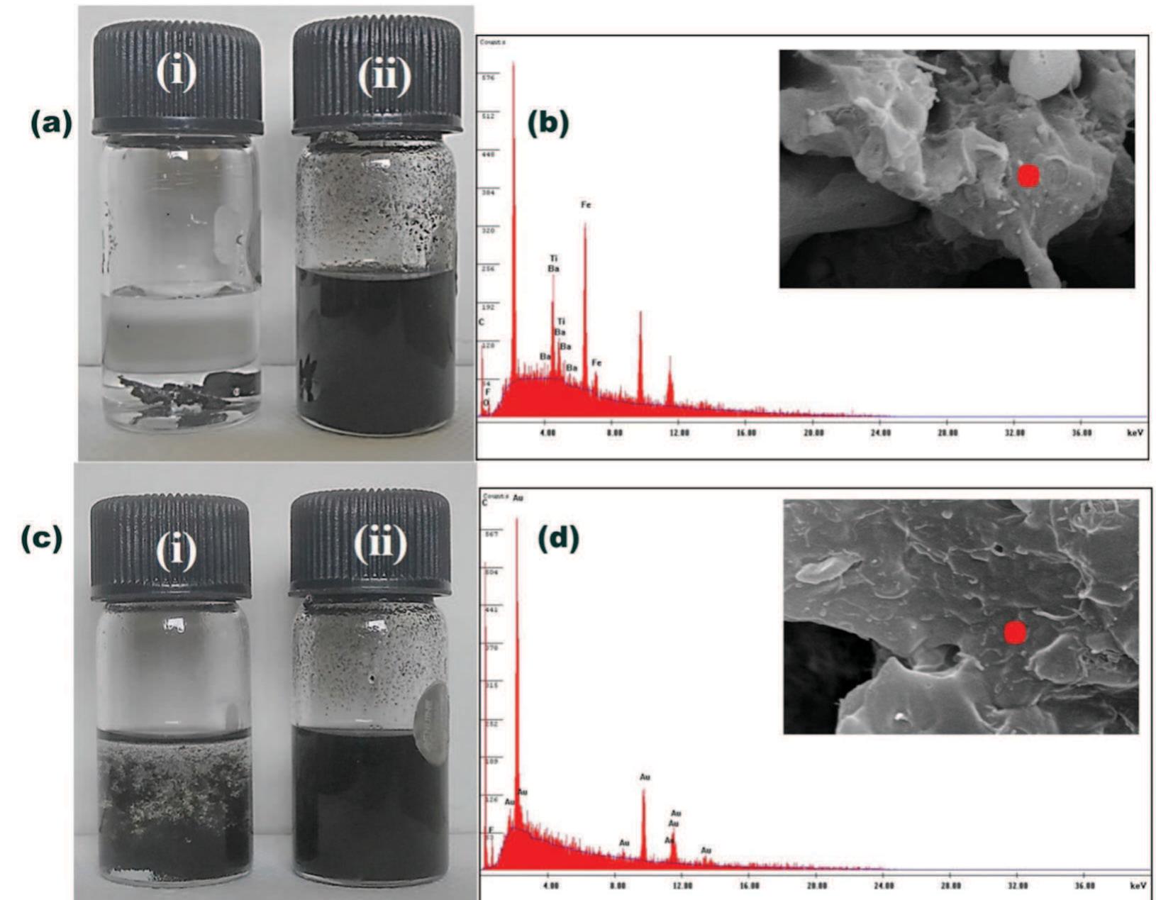 Fig. 5 (a) Solution dissolution test of a sample of PC/PVDF with MWCNT-ACA + MDA modified r-GO/BT/Fe: (i) the colorless PC extract confirms that particles are not localized in the PC phase, whereas (ii) the black colored PVDF extract confirms that all the particles are localized in the PVDF phase. (b) EDS experiment on a cryofractured PC etched sample confirms that all the particles are in the PVDF phase. (c) Solution dissolution test of a sarmple of PC/PVDF with MWCNT-ACA + MDA modified BT/Fe co-doped GO: (i) the slightly black colored PC extract and (ii) black colored PVDF extract both confirm that particles are in both phases. (d) EDS experiment on a cryofractured PC etched sample confirms no migration of BT and Fe into the PVDF phase after selectively localizing them in the PC phase. 
