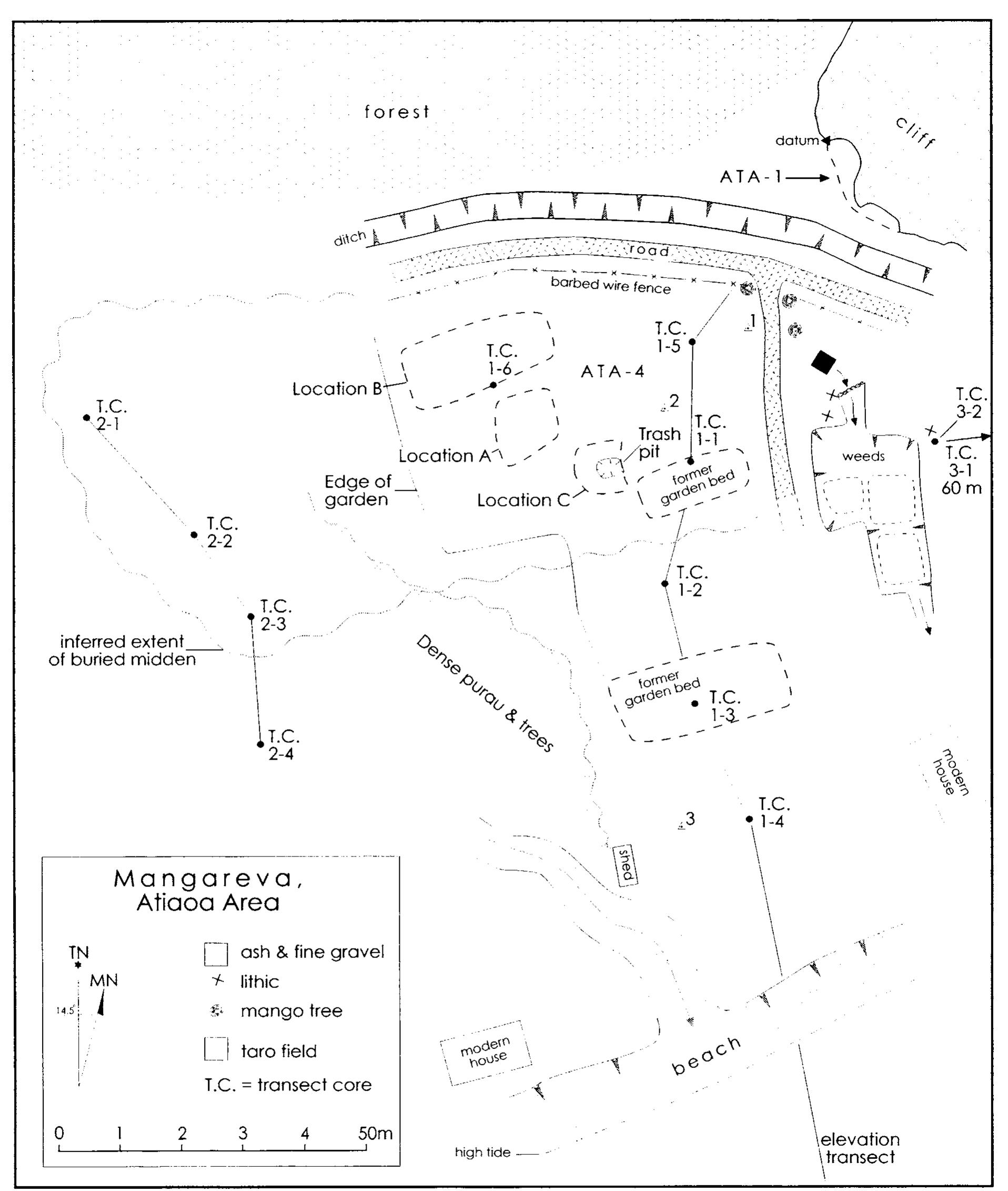 Figure 3.28 Plane table map of the coastal plain at Atiaoa showing the location of transect cores and inferred extent of buried midden at site 190-06-ATA-4.  ARCHAEOLOGICAL INVESTIGATIONS IN THE MANGAREVA ISLANDS, FRENCH POLYNESIA 