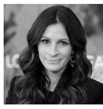 Julia Roberts gaat een t-shirt ontwerpen ten voordele van de organisatie Animal Relief. Het t-shirt van de actrice, ondermeer bekend van de films Pretty Woman en Eat Pray Love, zal daarna online verkocht worden. De opbrengt gaat integraal naar de organisatie die zich inzet voor het welzijn van verwaarloosde huisdieren. Heel wat huisdieren krijgen immers niet de zorg die ze verdienen. Zo worden ze soms gedumpt wanneer de baasjes op vakantie trekken. Door de economische crisis  van de afgelopen jaren stellen veel baasjes ook een jaarlijks bezoek aan de dierenarts uit, waardoor de dieren onnodig ziek worden.  Julia Roberts ontwerpt t-shirt voor Animal Relief 