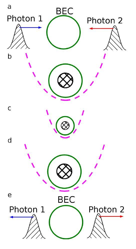 FIG. 2: Principle of photon-photon gate. (a) Photons 1 and 2 are independently absorbed by the BEC. (b) Both are converted into atomic excitations that are in the ground state of the effective trapping potential, see text. (c) The collision-induced interaction between the atomic spin waves is enhanced by adiabatically increasing the trapping poten- tial, thus reducing the size of the ground state wave functions (and of the BEC). (d) The trapping potential is adiabatically brought back to its original value. (e) The photons can be read out independently. 