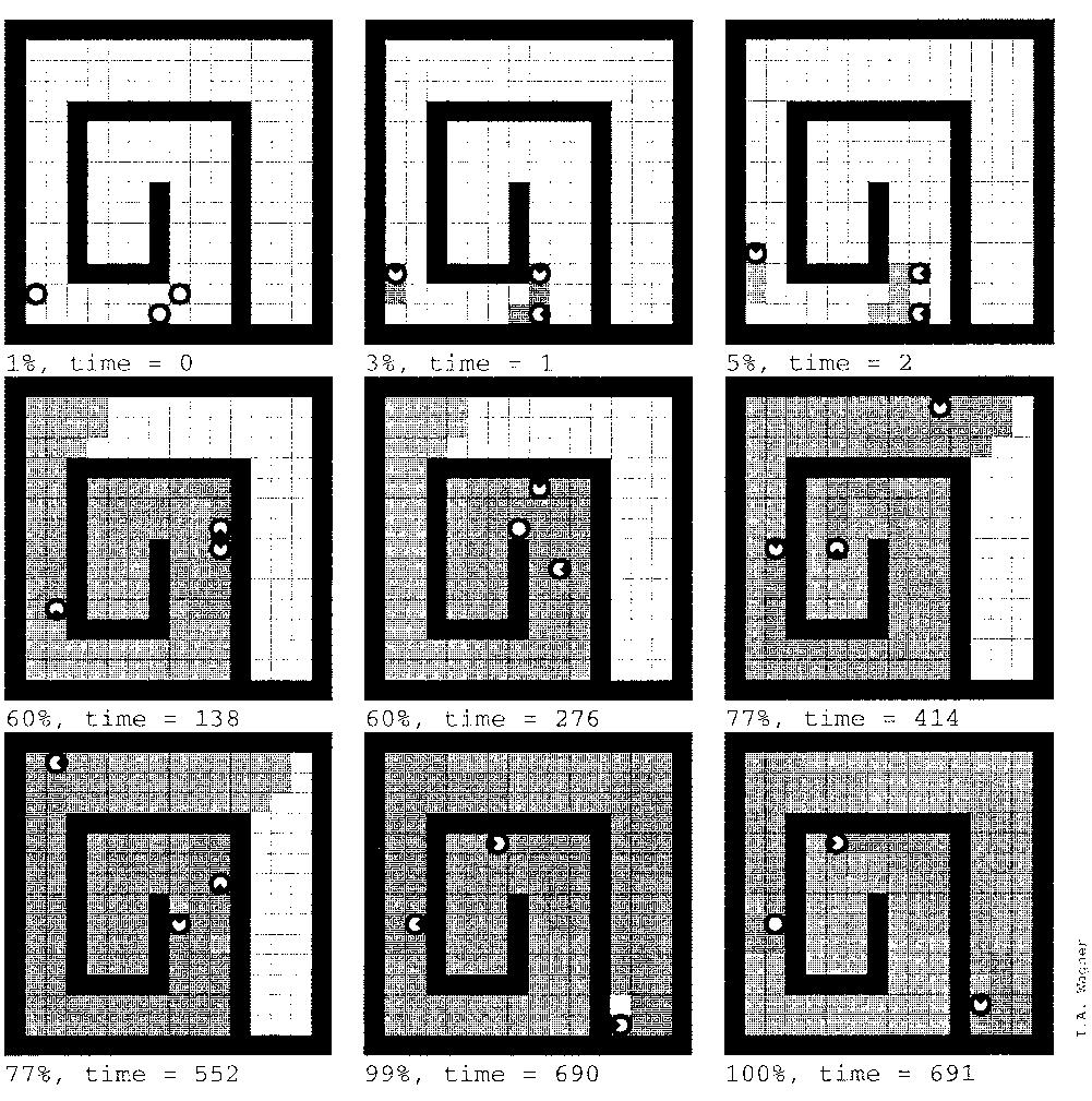 Covering by ANT-WALK-2, shape #3, on a 14 x 14 matrix