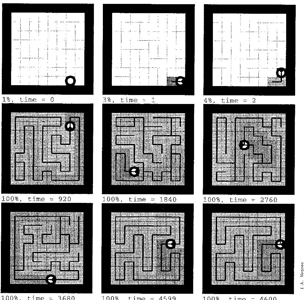 Covering by VERTEX~ANT-WALK, shape #0, on a 8 x 8 matrix