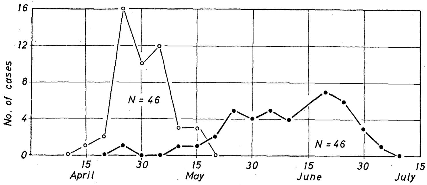Ficure 10. Comparison of the time distribution of first (circles) and last (dots) Skylark Alauda arvensis clutches of the season, showing a much wider spread for the end of the season than the beginning. Each point represents the number of clutches begun in a 5-day period.  In the literature there are two reports of autumn broods of Skylarks: Hardy (1939) found a nest with eggs in October and Thorburn (1954) one with eggs in December (see also Hachisiuka (1924) for Alaemon alaudipes), which in each case coincided with abnormally warm periods (see Snow 1955). Physiologically these broods have to be considered as “‘ early ” ones of the following season (Marshall 1961). 