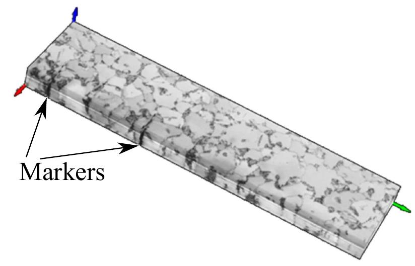 Fig. 3: 3D model constructed from 22 sections where the markers can clearly be seen. Color code displays image quality. A lower image quality (dark) indicates typically martensite. Green arrow: rolling direction, red arrow: transverse direction, blue arrow: normal direction. 