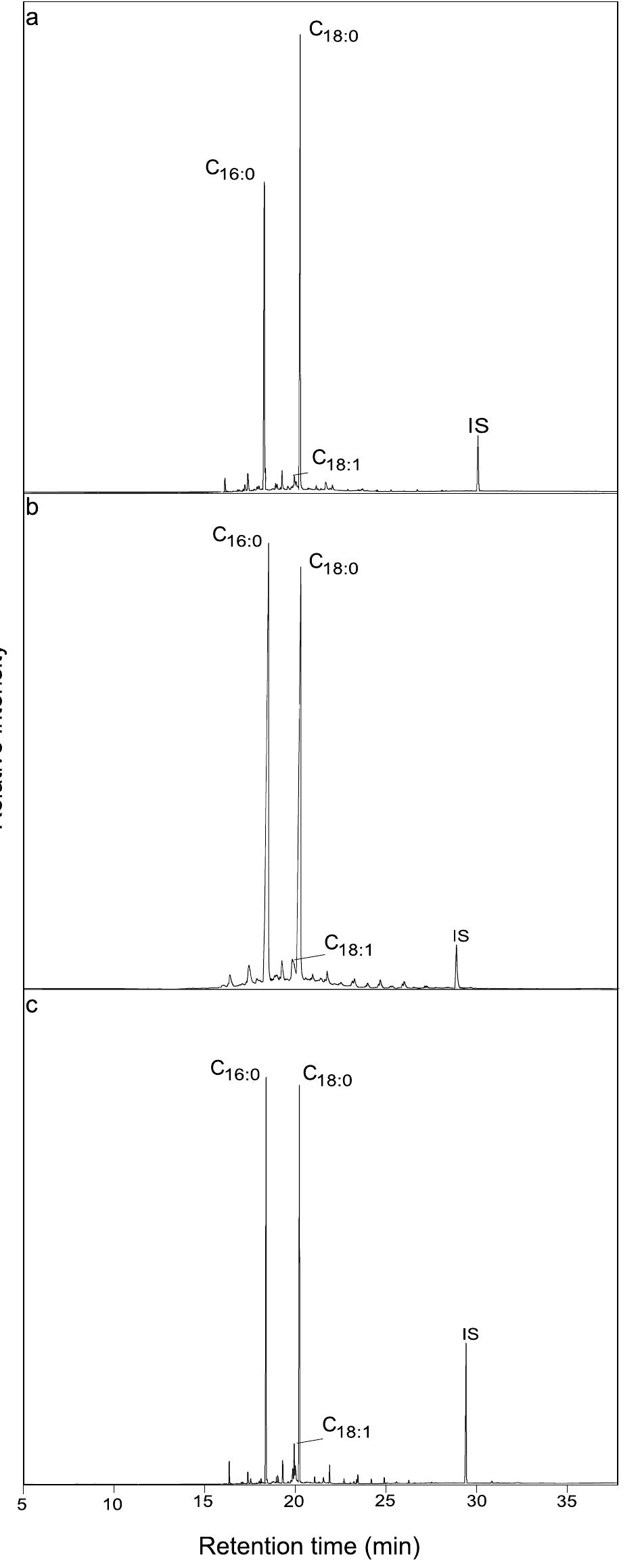 Figure 1. Gas chromatograms of TLEs from pottery from the three regions of study showing high concentration of palmitic acid (Cj¢.9) and stearic acid (Cjs.): (a) Ecsegfalva 23, sample 16, (b) Grivac, sample 17 and (c) Yabalkovo, sample 38. IS - internal standard: C;, n-tetratriacontane. 
