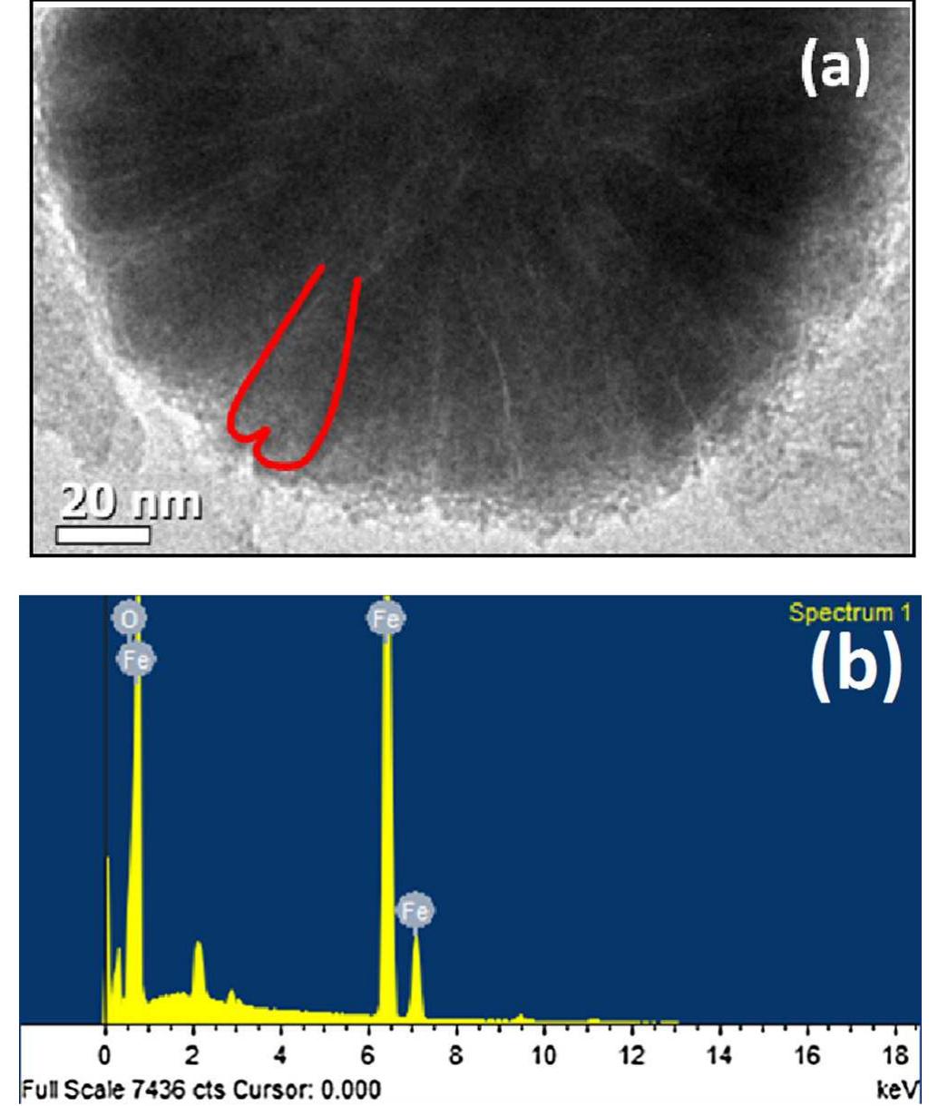 Fig. 4. (a) HRTEM of single Gly-NP: eye guide is given to show the petal like structures; (b) representative EDX spectrum of Gly-NP.  The rate of disintegration of nitrates to any kind of end product depends on several factors including initial nitrate concentration, amount of reductant added, pH of the solution, temperature of the reaction medium, etc. Along with these the effects of the crys- tallinity, surface to volume ratio of the used reductant also play a crucial role in determining the efficiency of nitrate removal pro- cess. Fig. 5(a)-(f) represents the nitrate removal capacities of three 