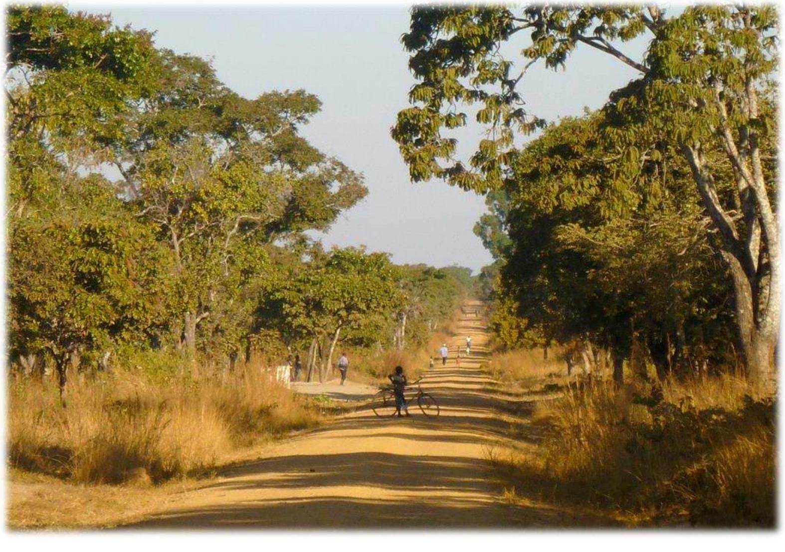 Fig.5 Chibobo Road during the dry season 